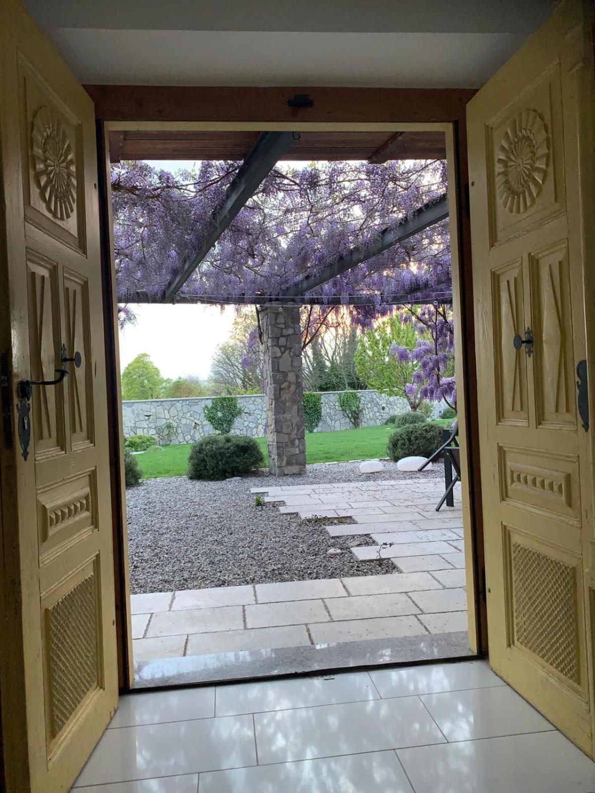 Photo 42