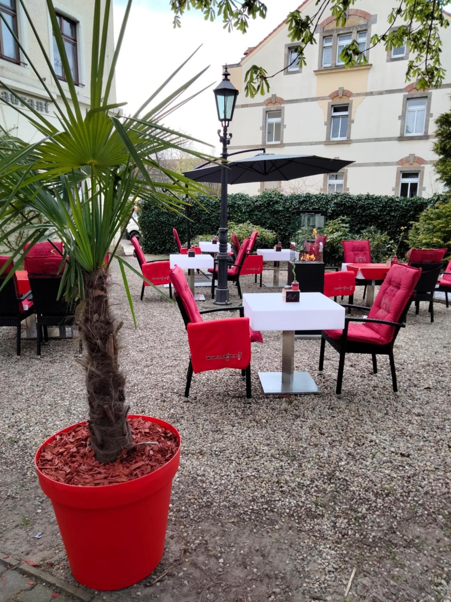Dresden Vacations - MUSTANG INN am Groen Garten - Property Image 45