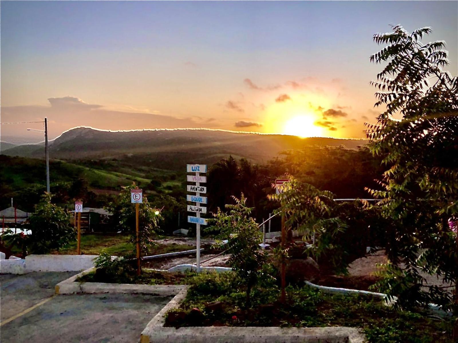 Encanto dos Pássaros
