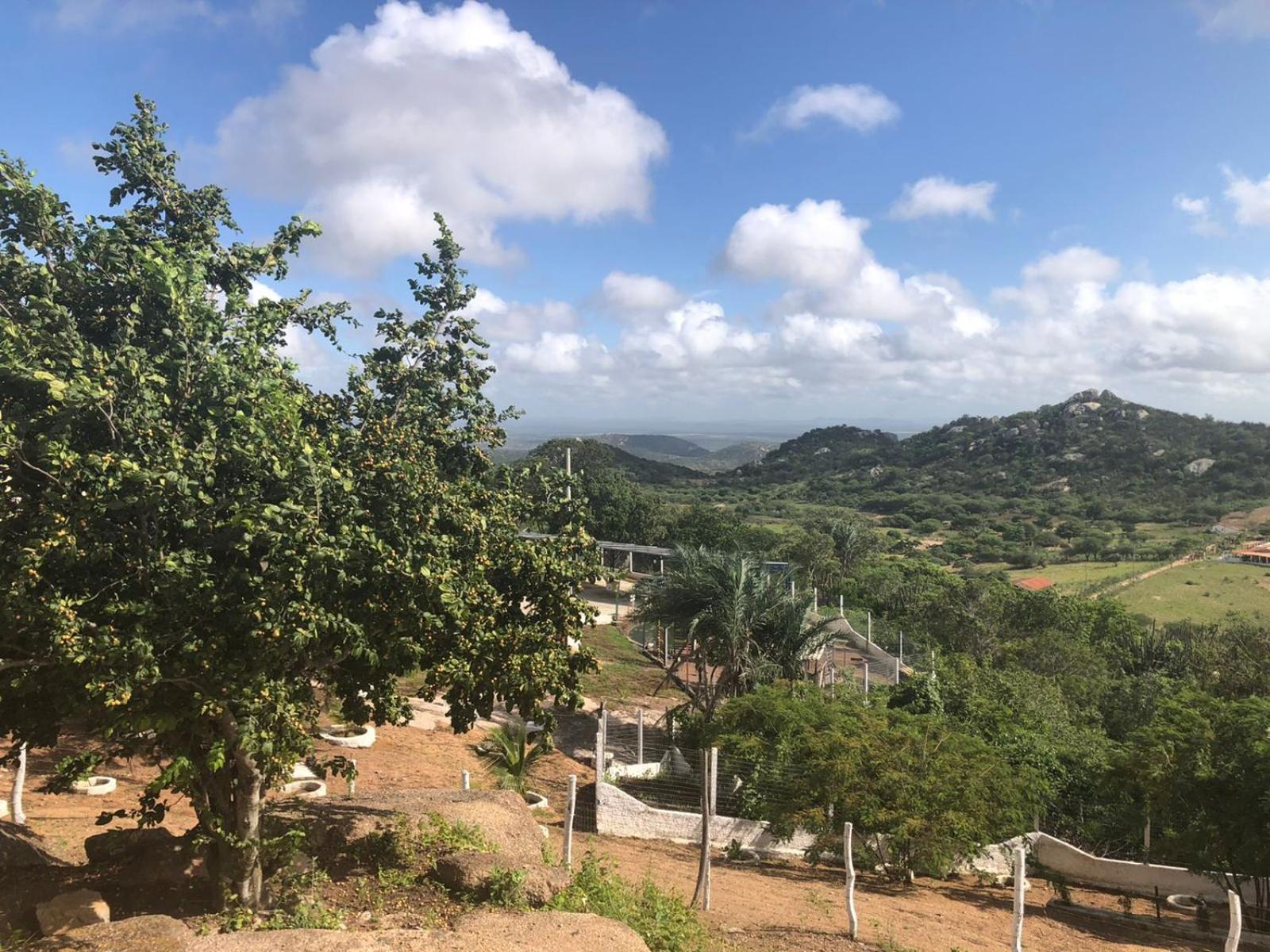 Encanto dos Pássaros