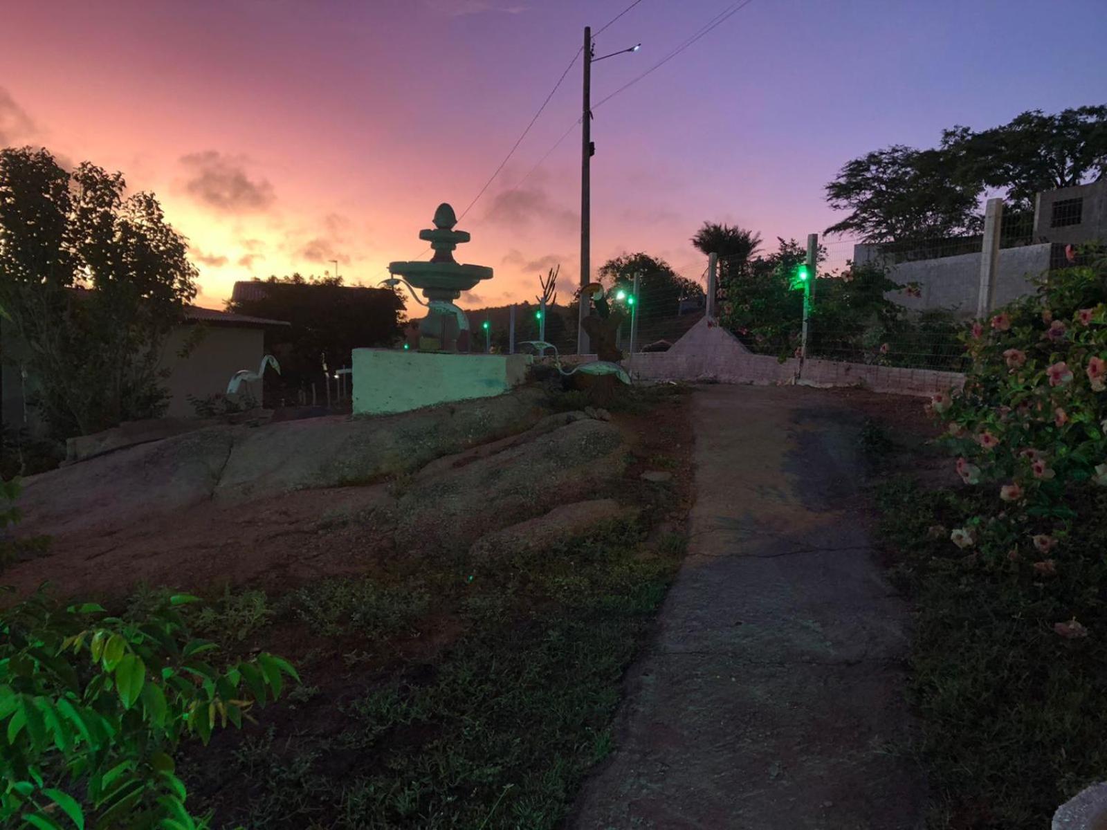 Encanto dos Pássaros