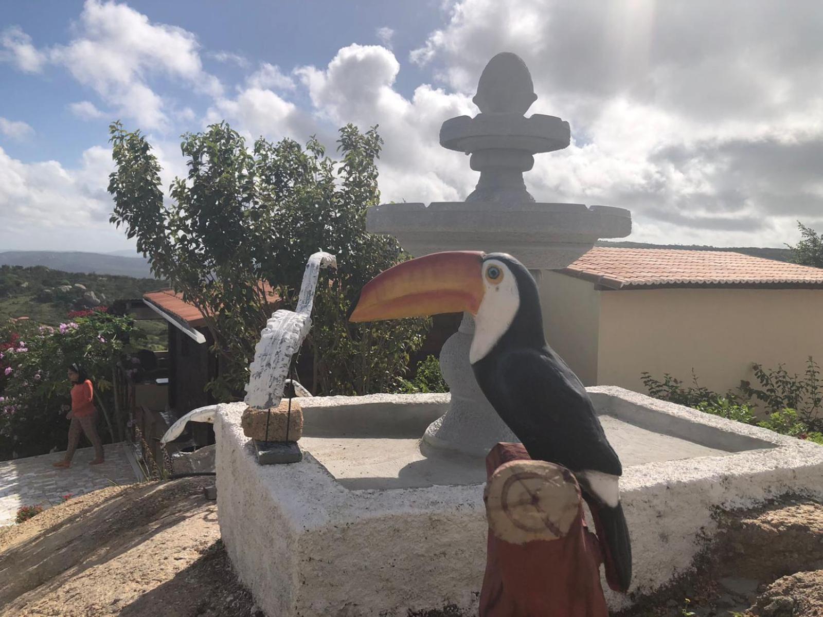 Encanto dos Pássaros
