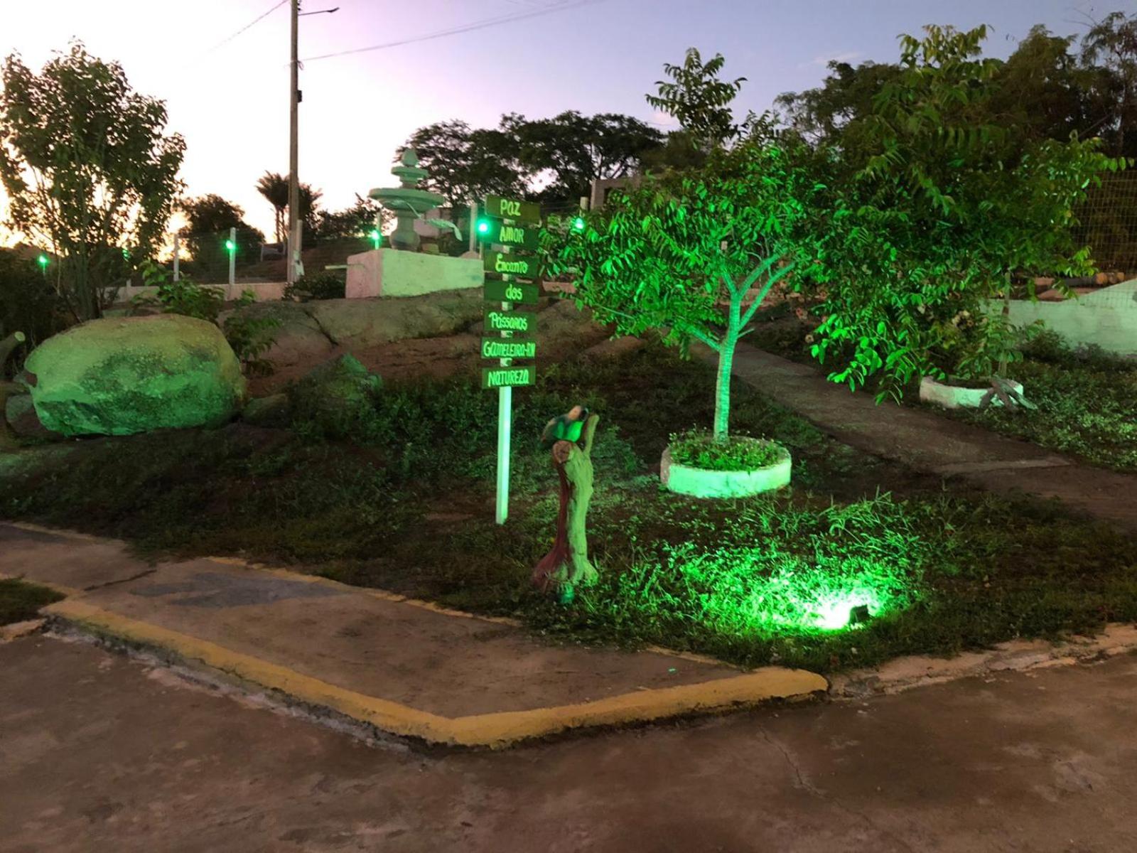 Encanto dos Pássaros
