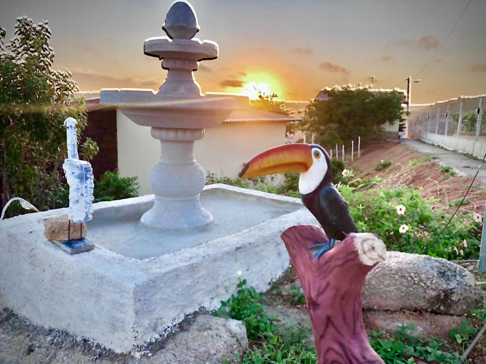 Encanto dos Pássaros