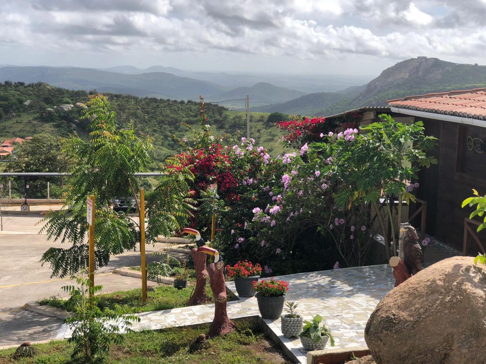 Encanto dos Pássaros