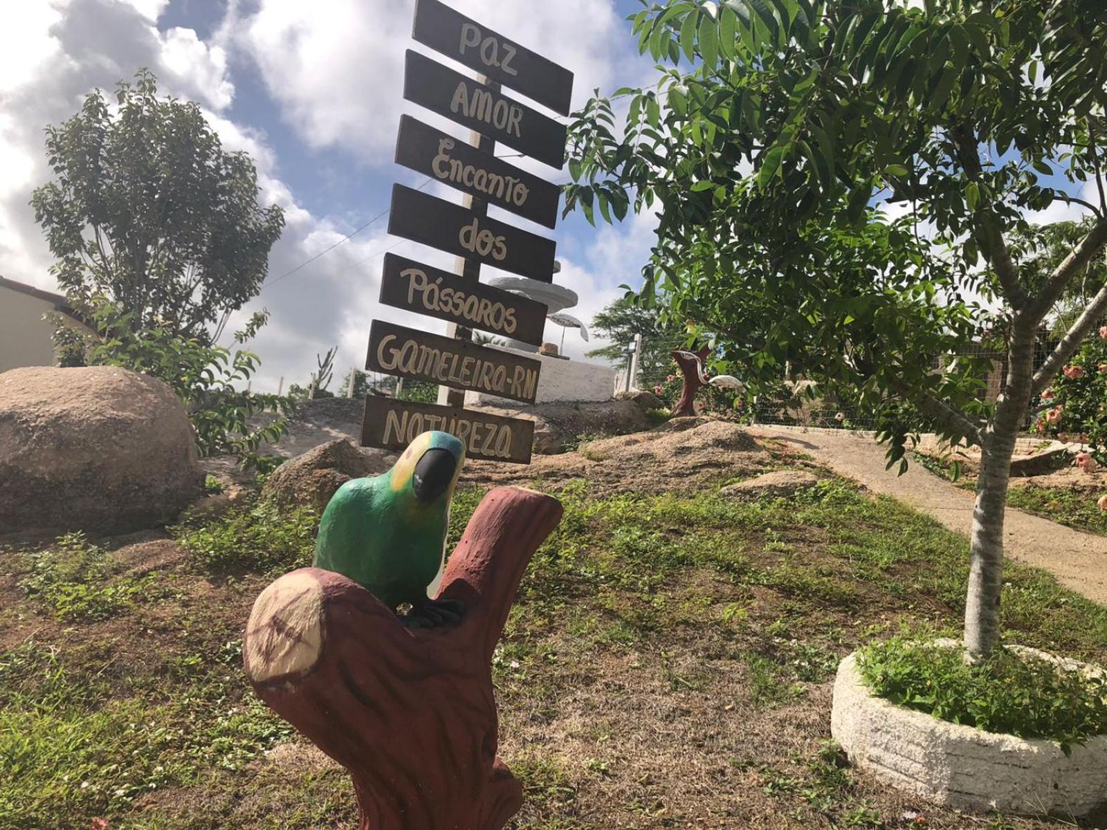 Encanto dos Pássaros