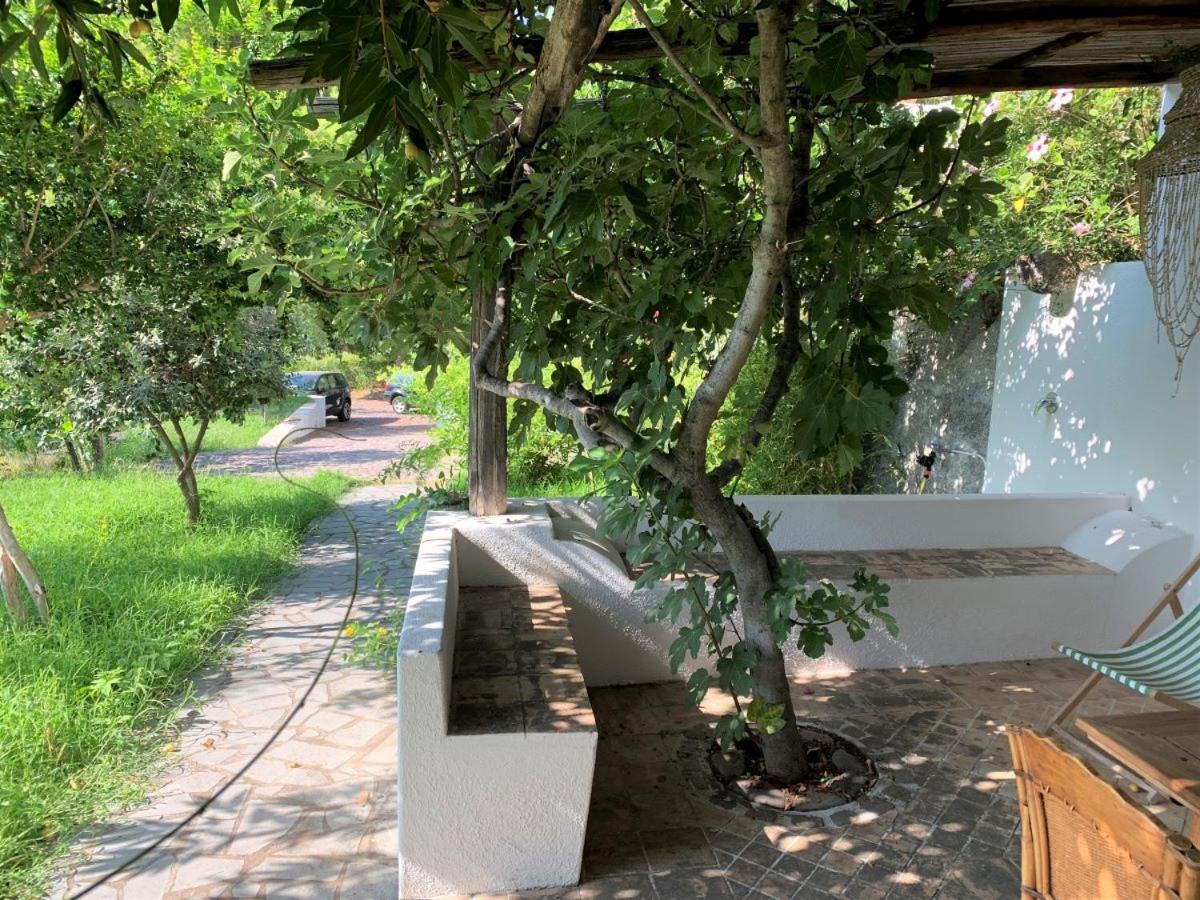 Casa La Pineta - con giardino e vista mare photo 5