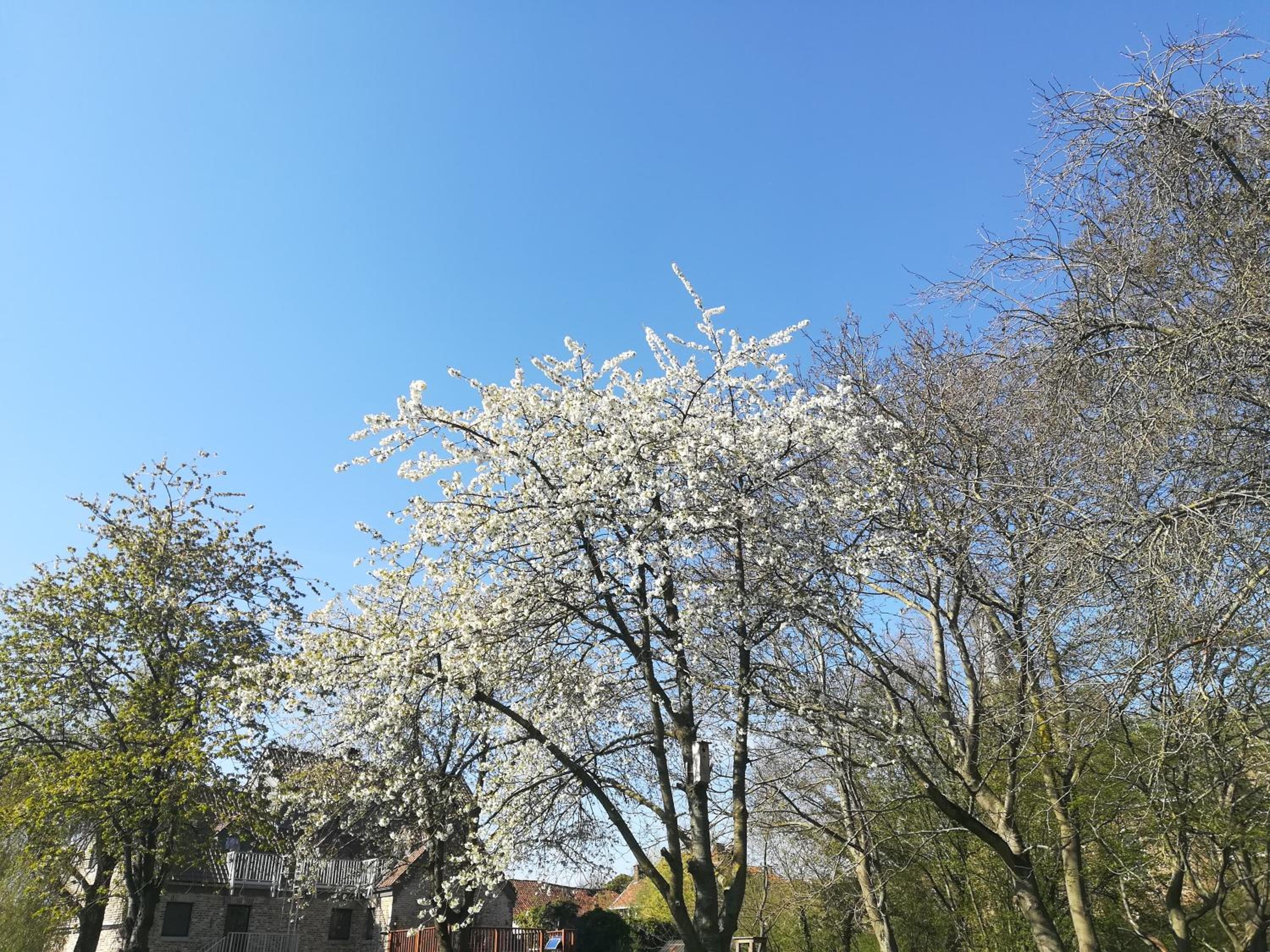 B&B De Dubbelmolen