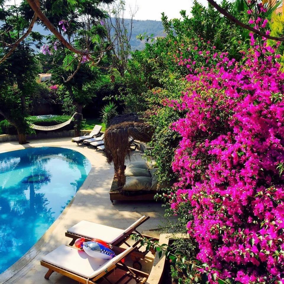 Villa Sophia Marmaris view 5
