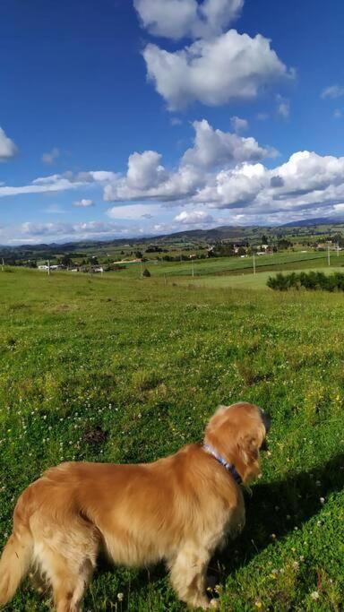 Amonita cabaña, vía Tunja Paipa