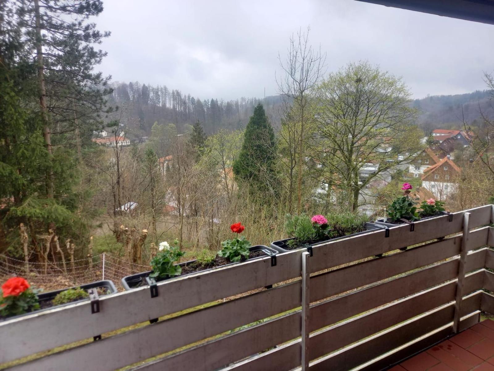 Ferienwohnung Harzblick - Property Image 13