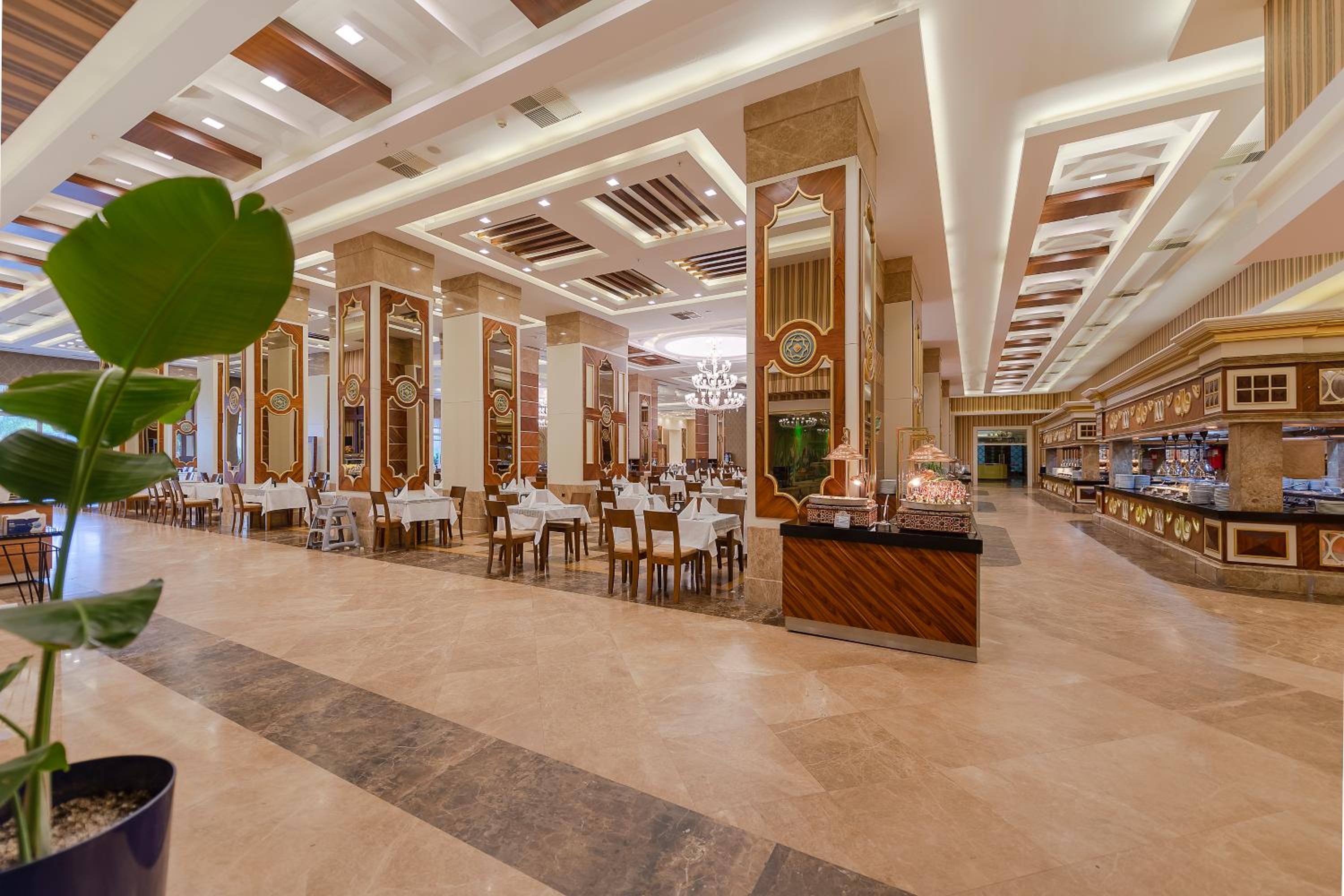 Oz Hotels Side Premium - Image 54