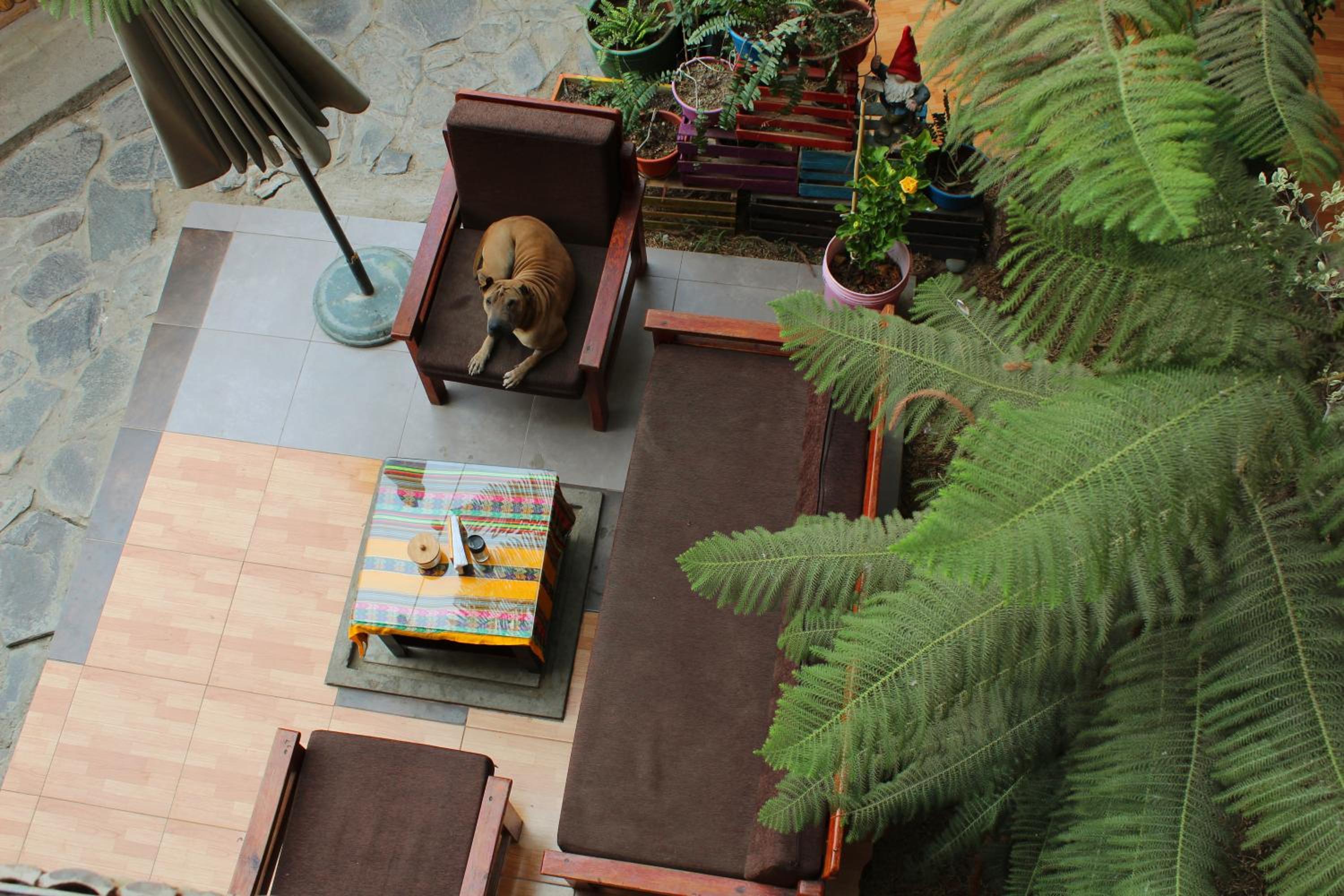 La Casa de Bamboo
