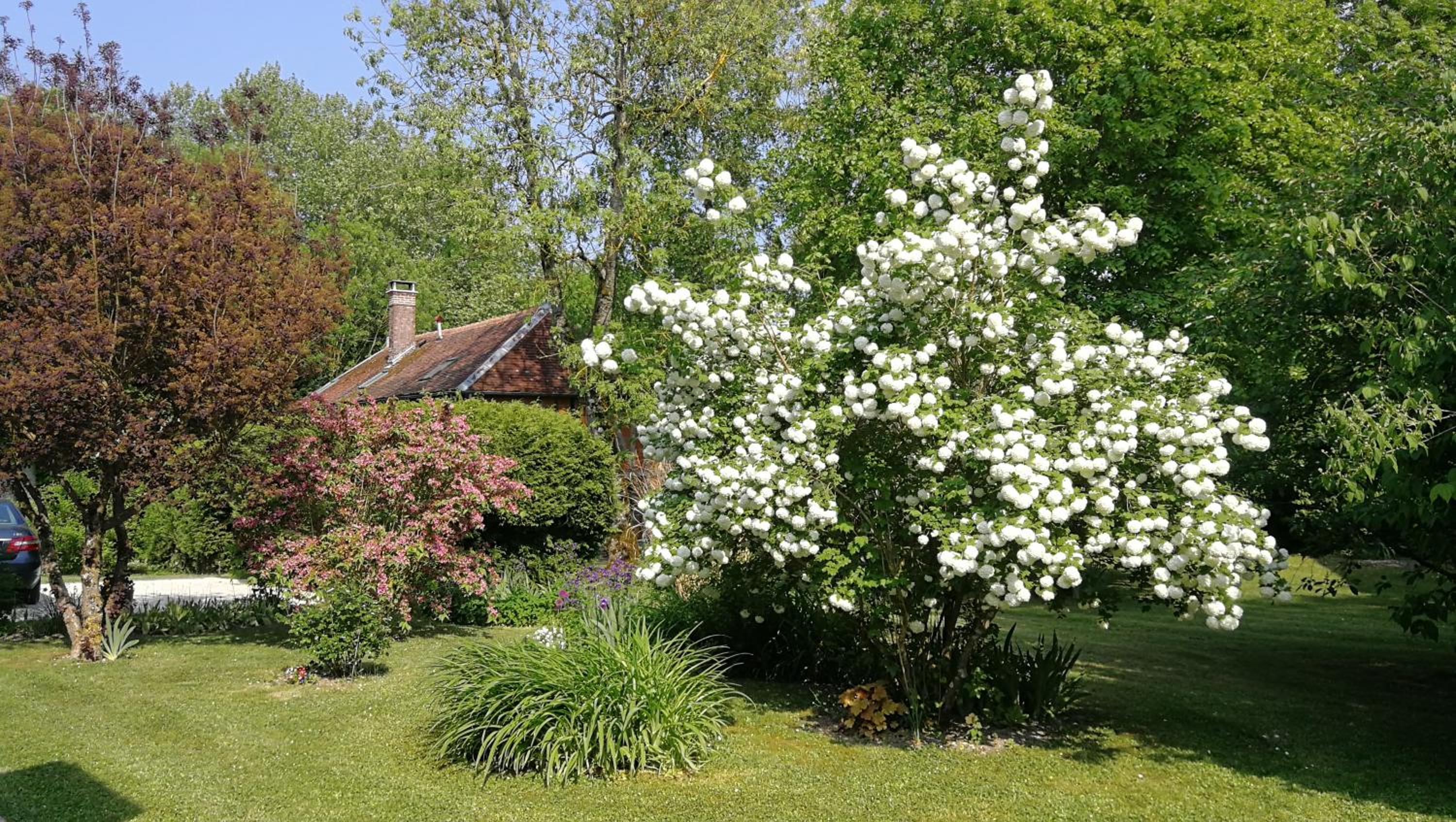 Photo 22