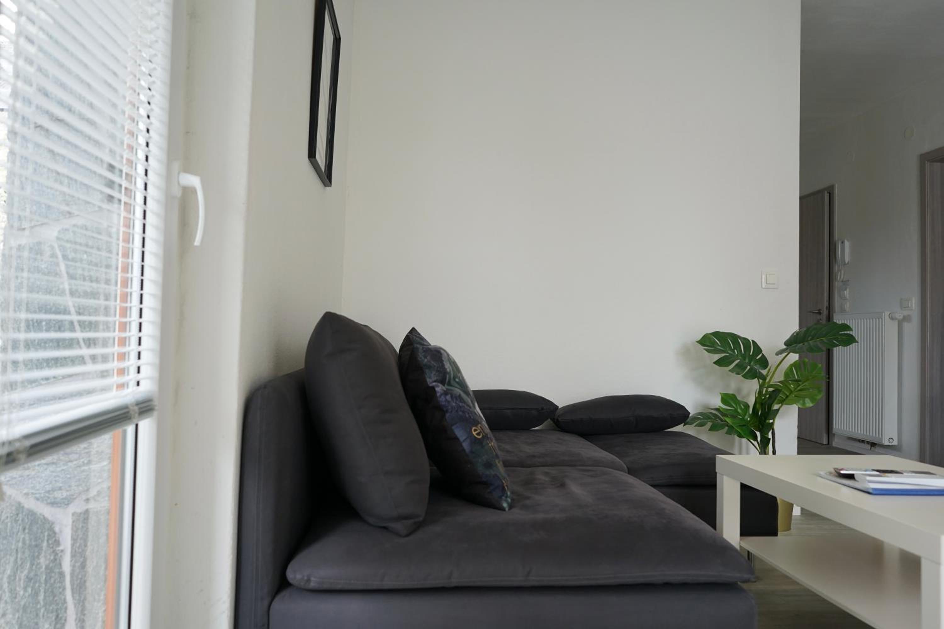 Photo 29