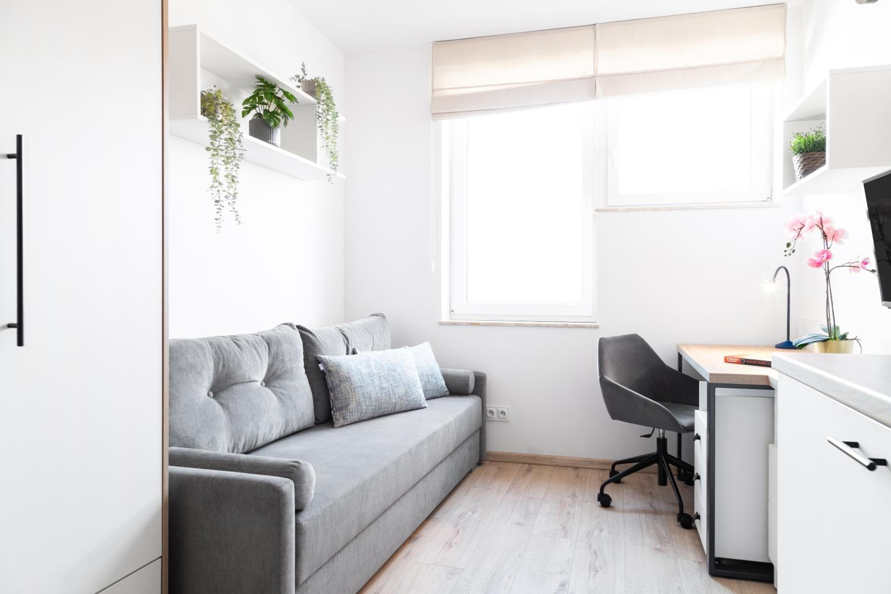 Lumen Studio