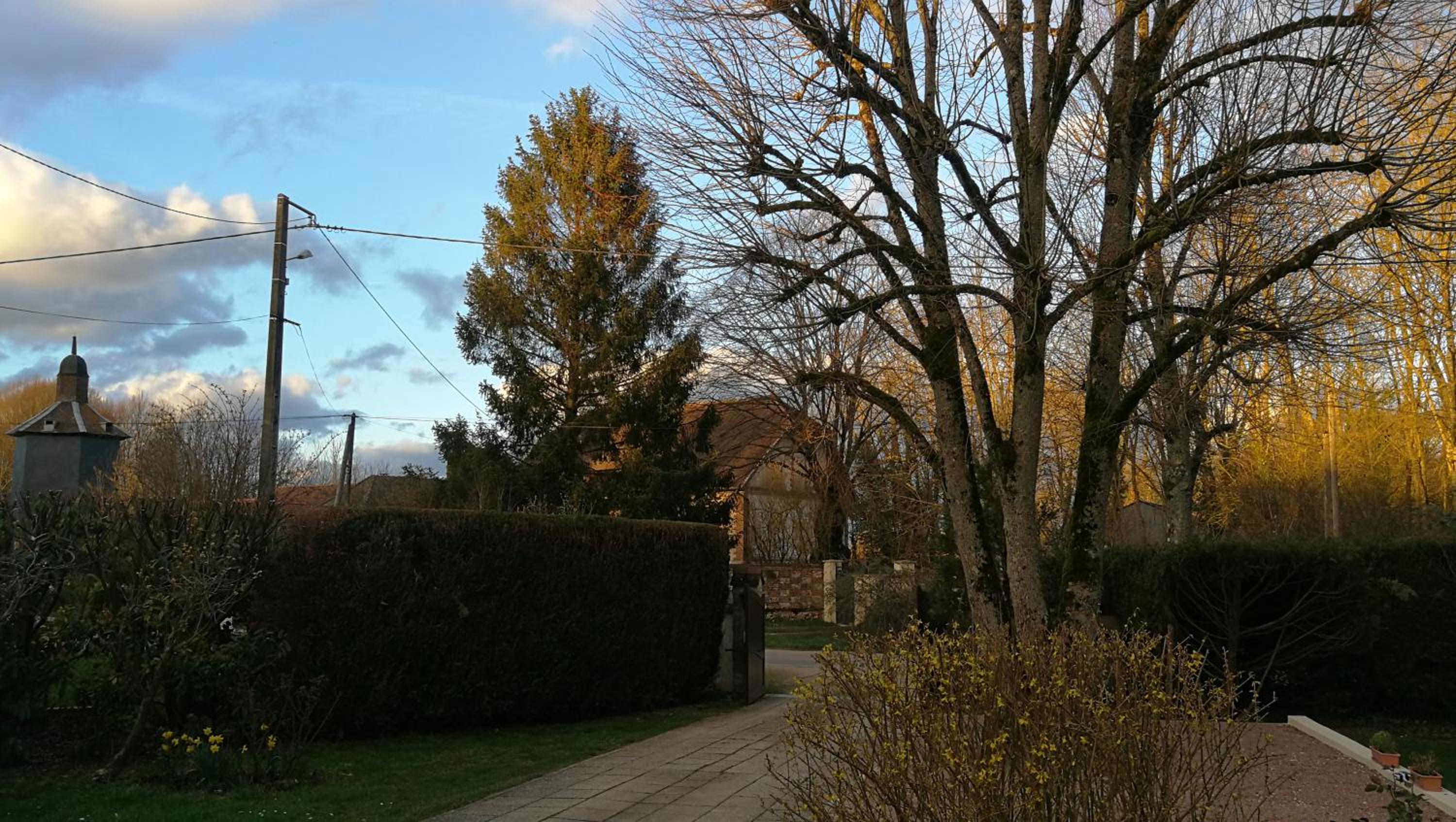 Photo 29