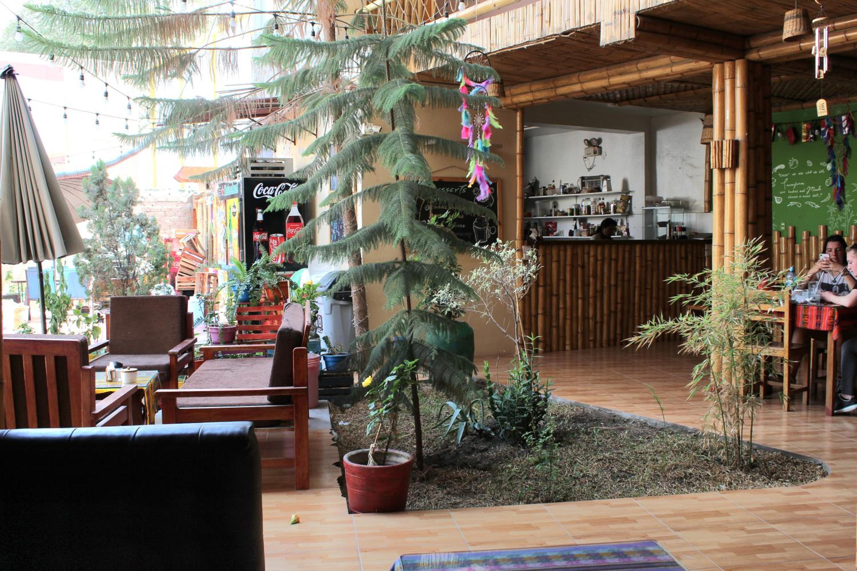 La Casa de Bamboo