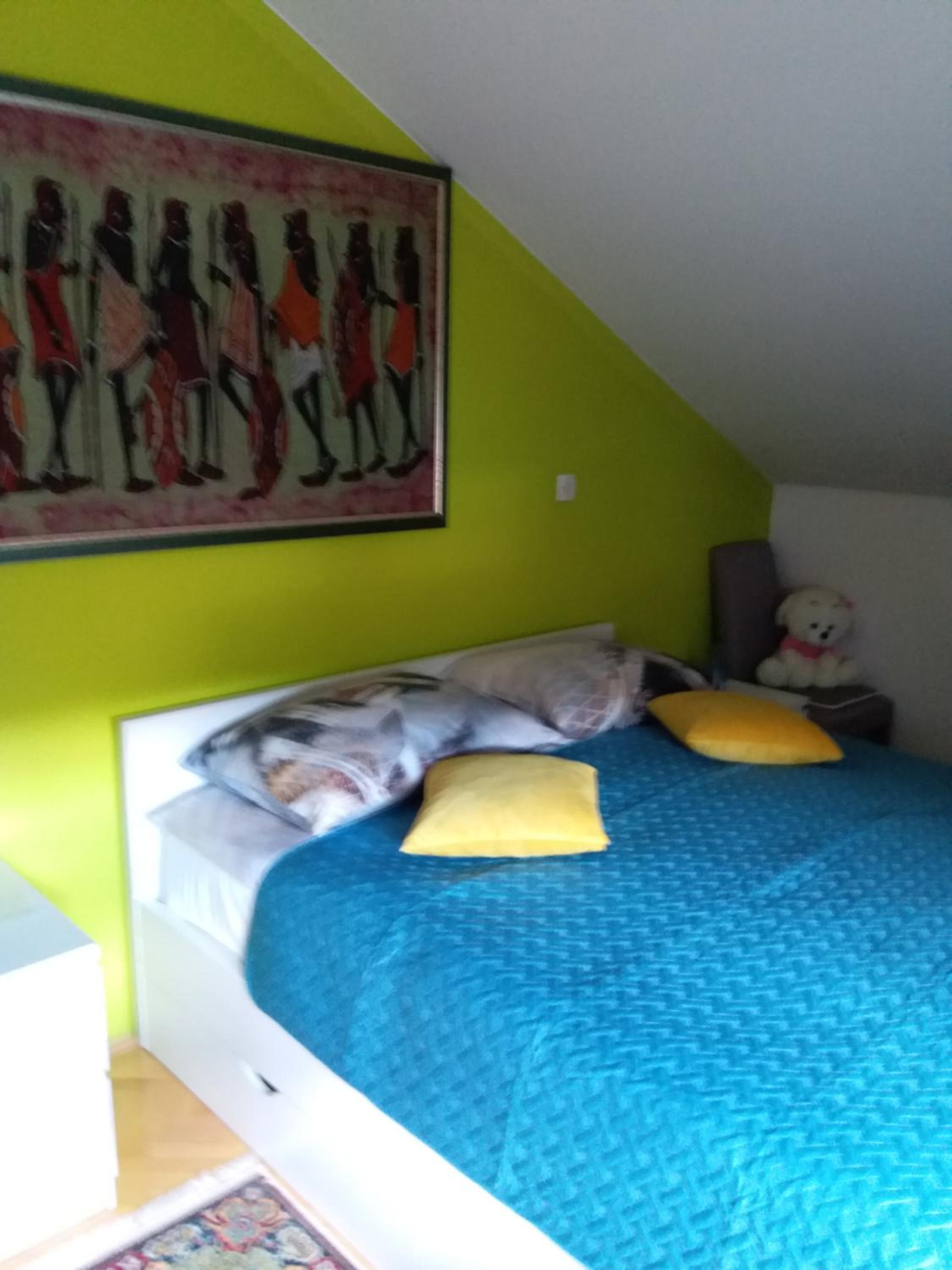 Cozy apartment Aya in Old town Sarajevo