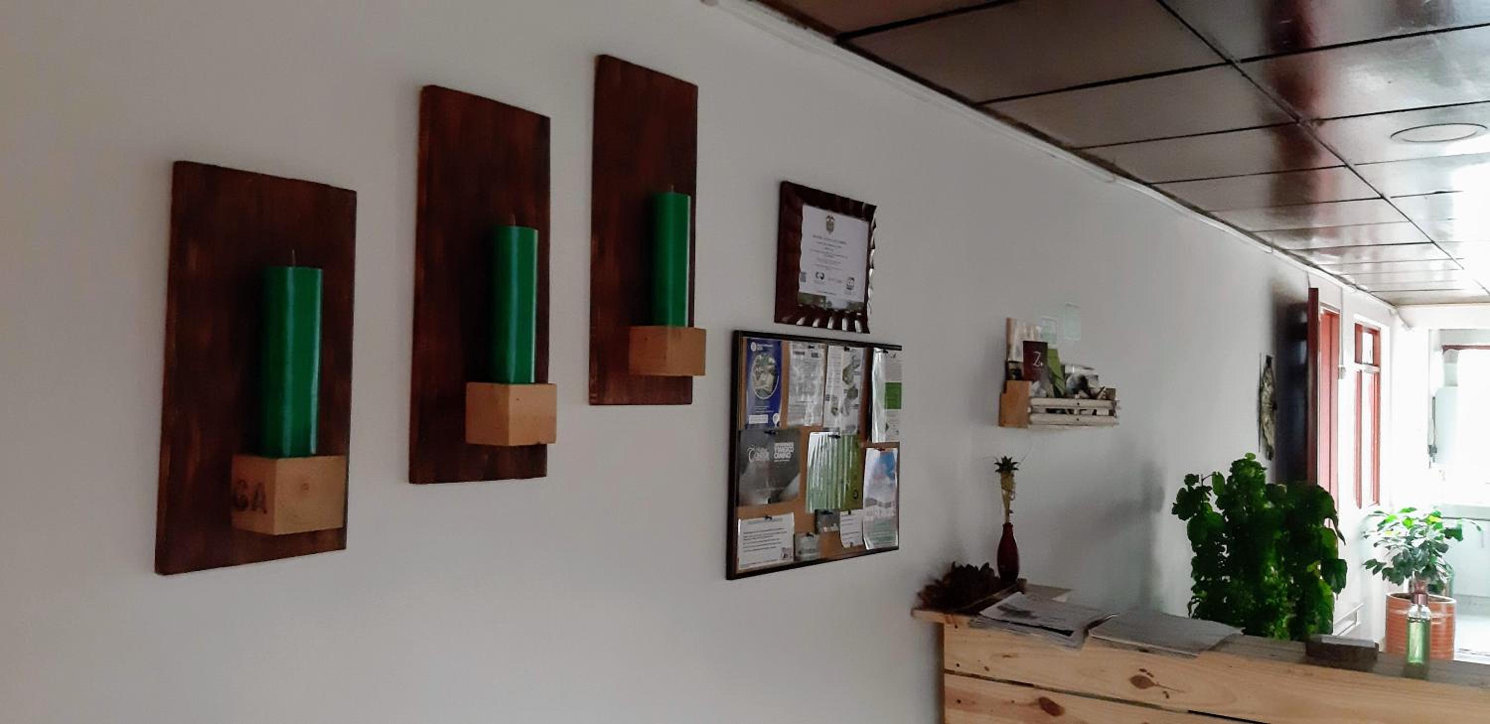 Hostal Triangulo del Café