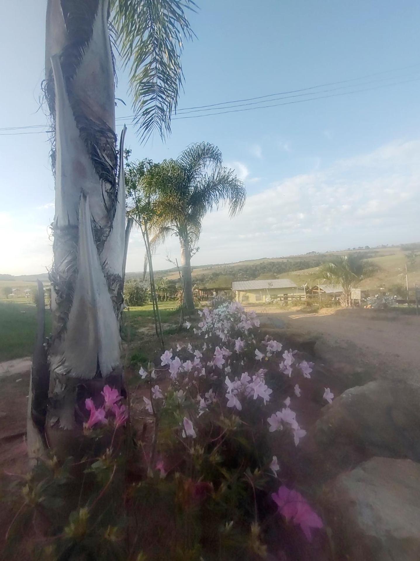 Photo 38