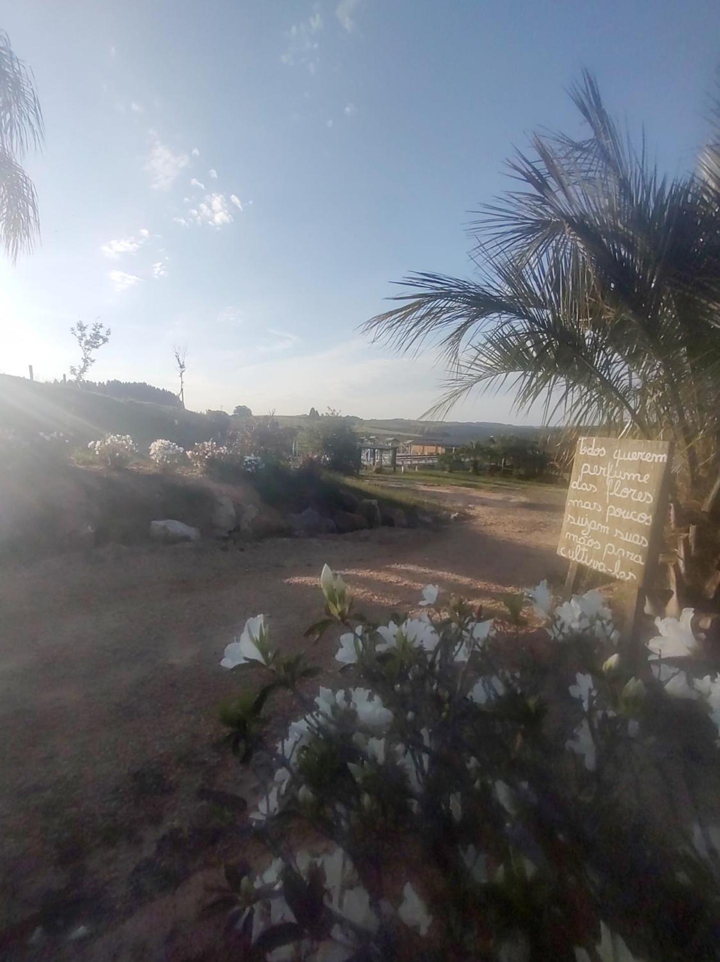 Photo 33