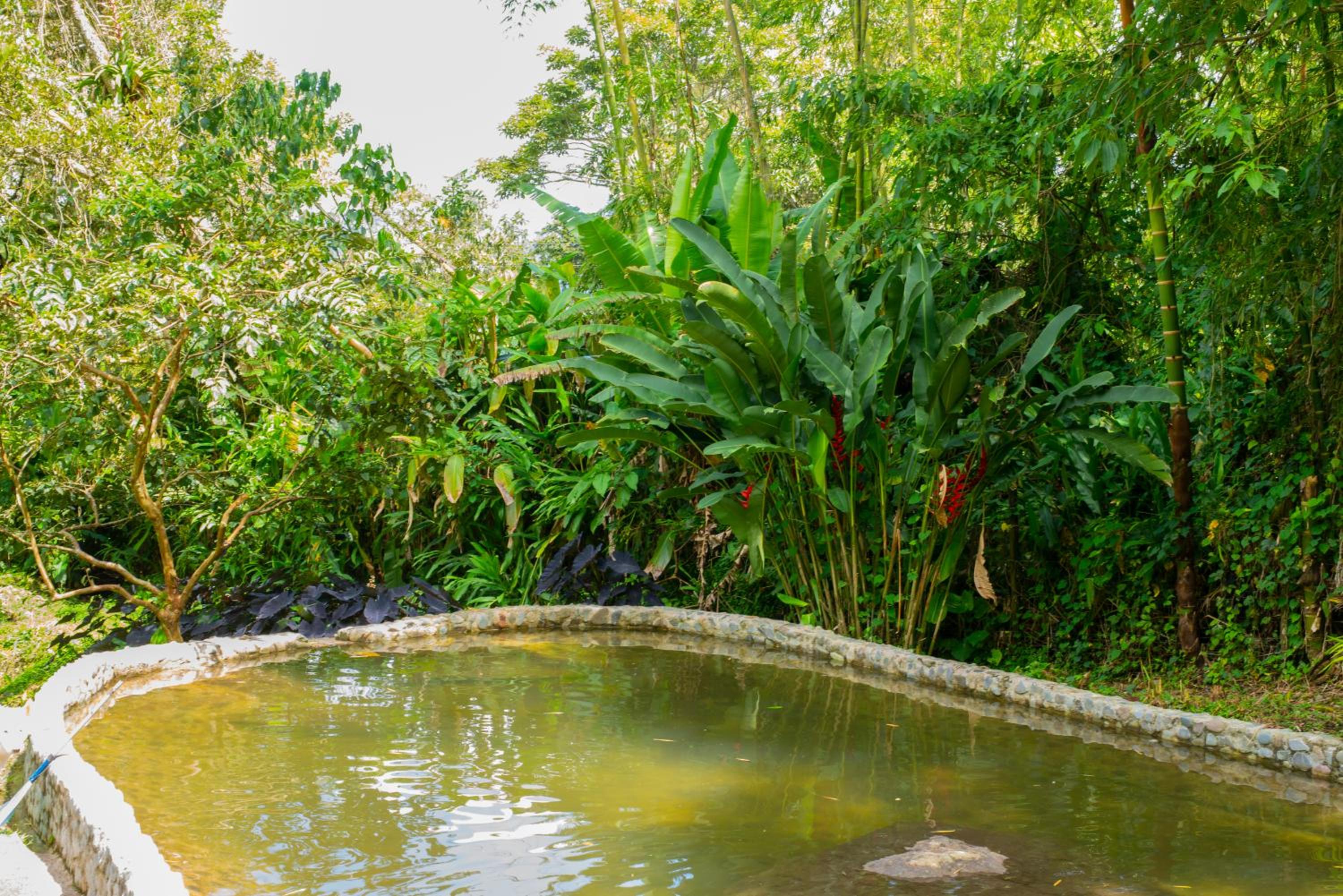FINCA HOTEL CARMONIA DEL BOSQUE