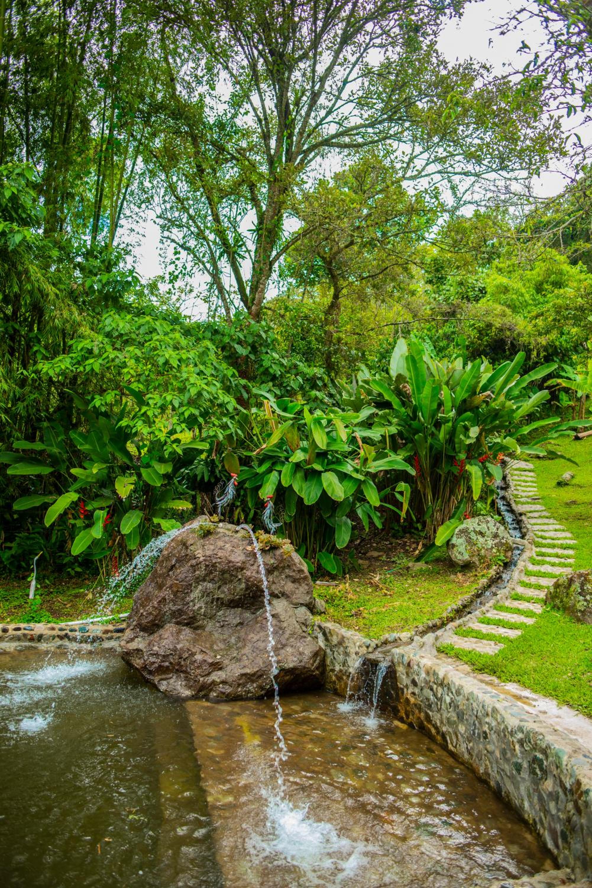 FINCA HOTEL CARMONIA DEL BOSQUE