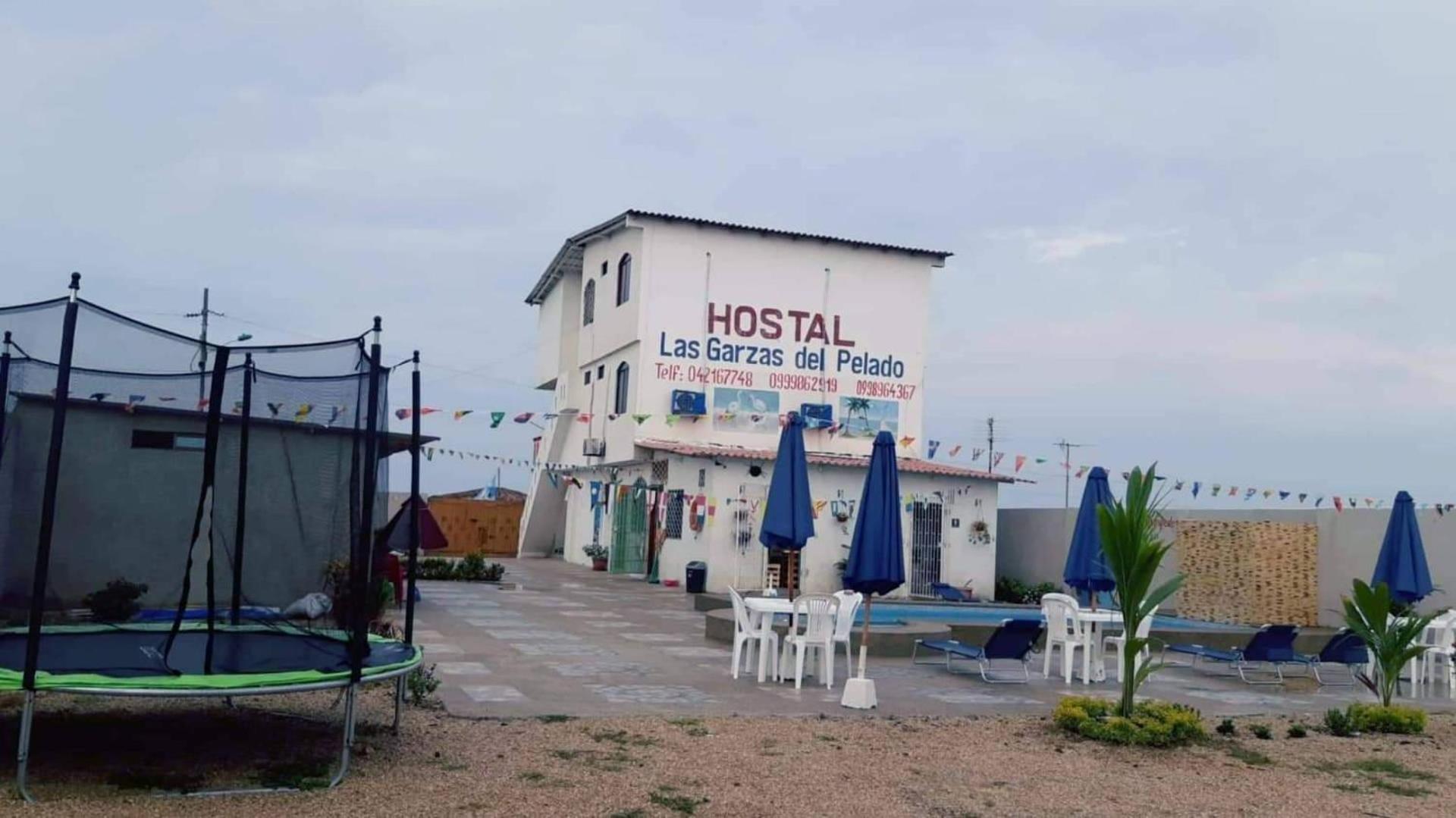 Hostal LAS GARZAS DEL PELADO view 5