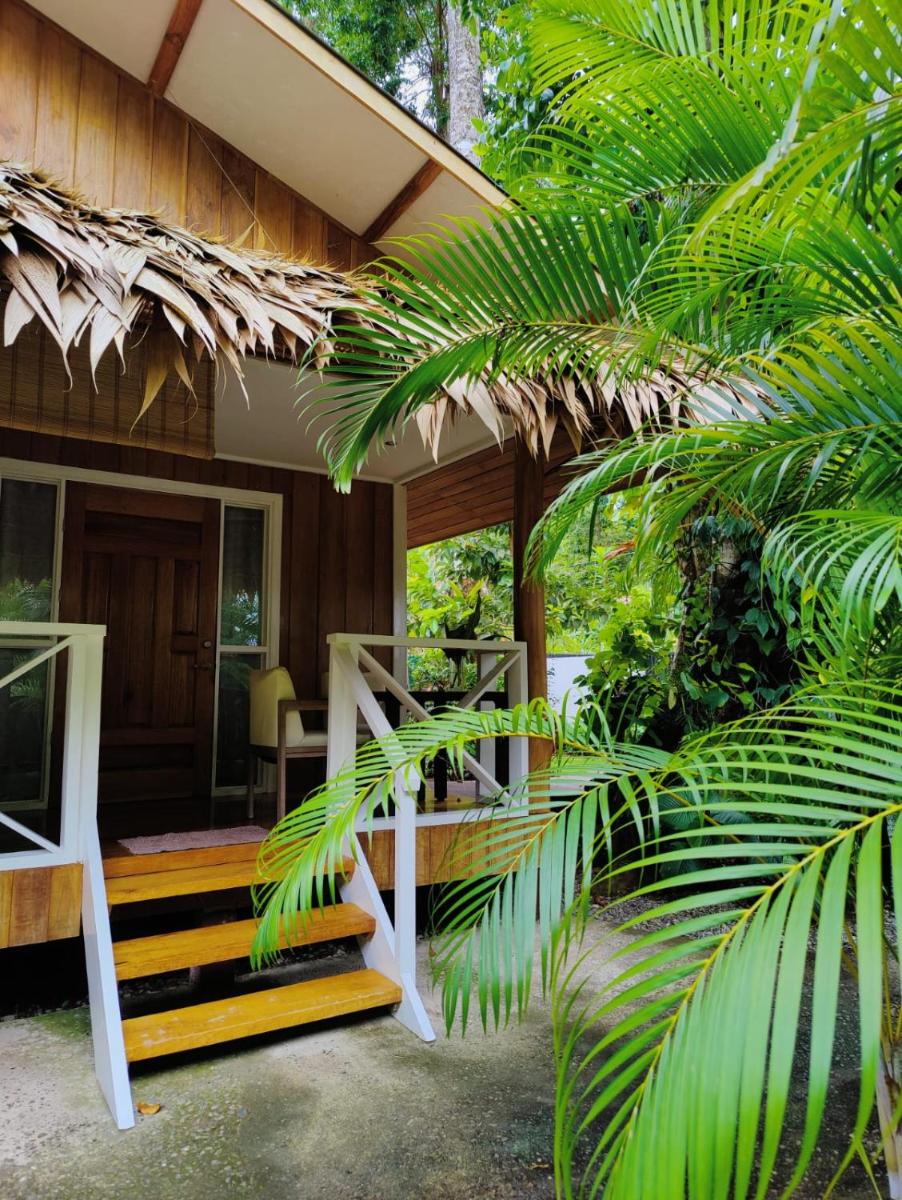 Casa ANA KIMBA — photo 5