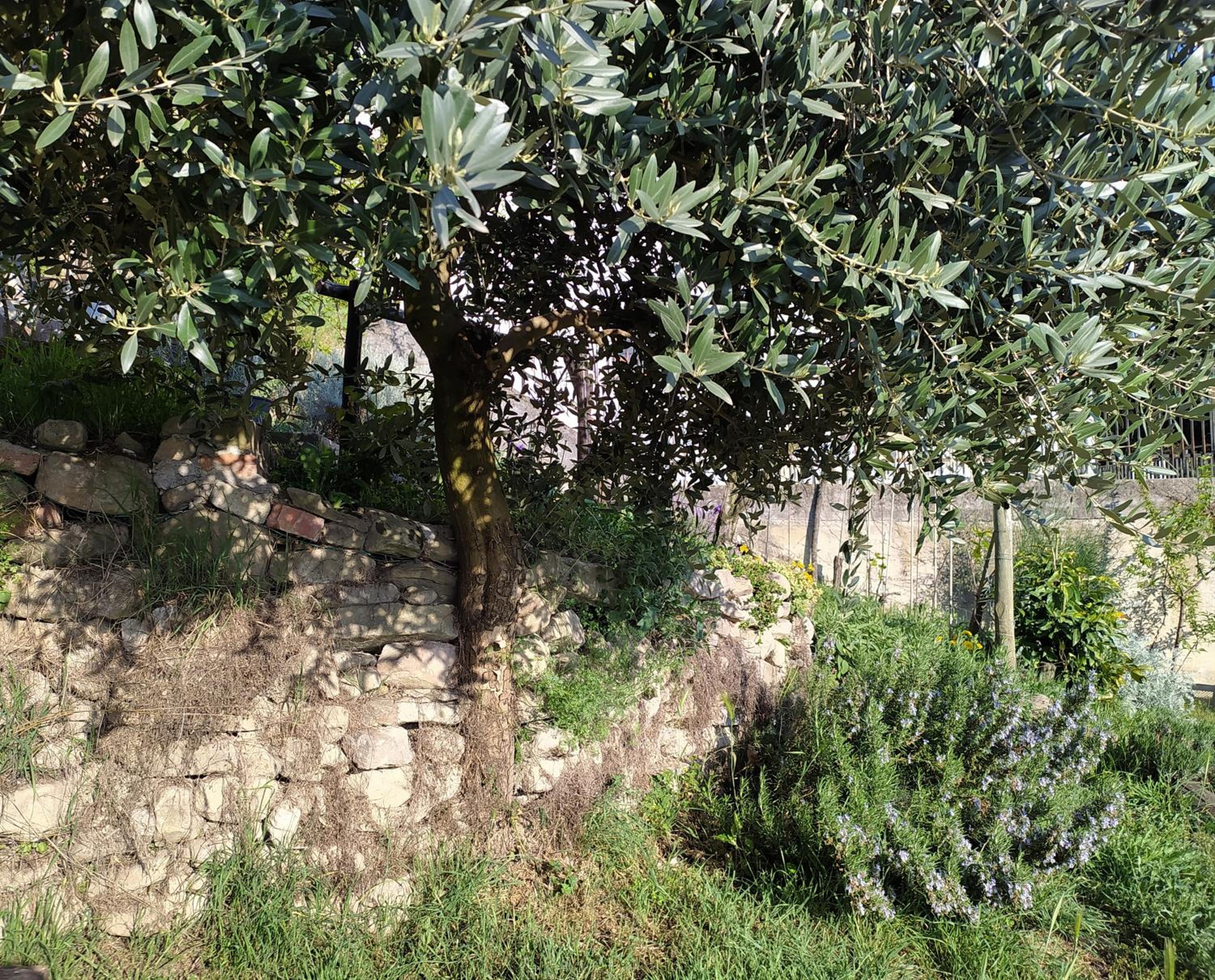 Photo 34
