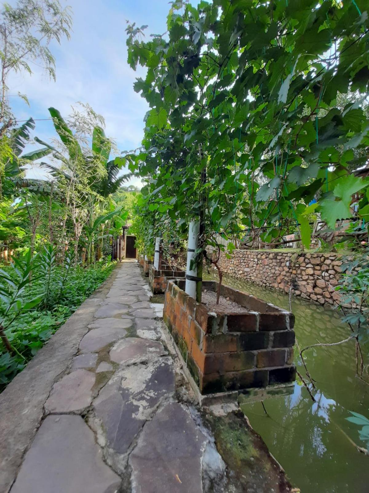 JEJU Cottages