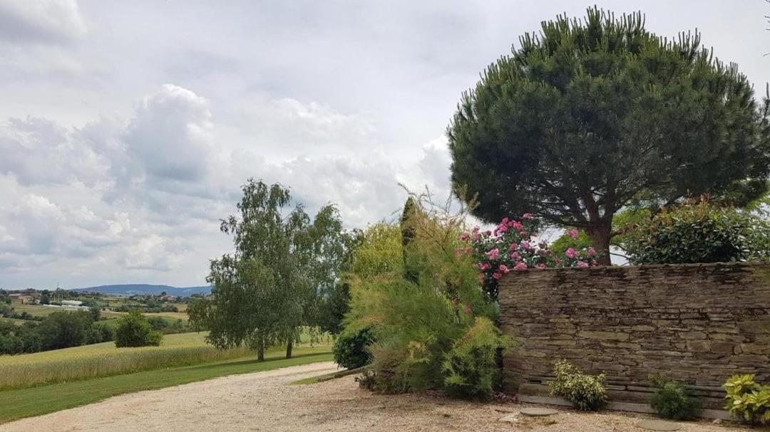 Relais de navon en Saint-Joseph