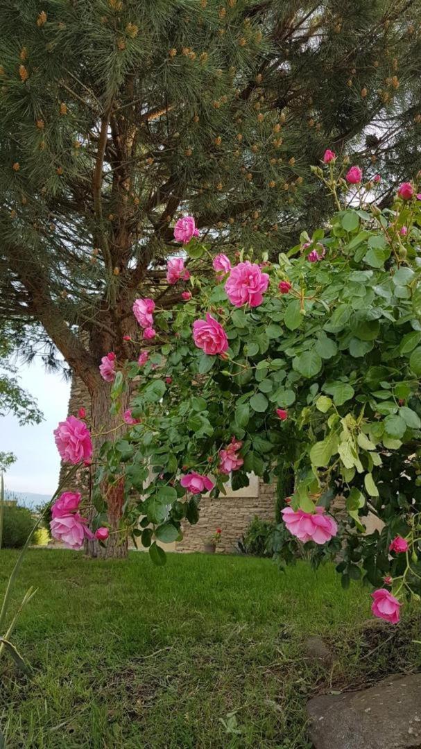 Relais de navon en Saint-Joseph