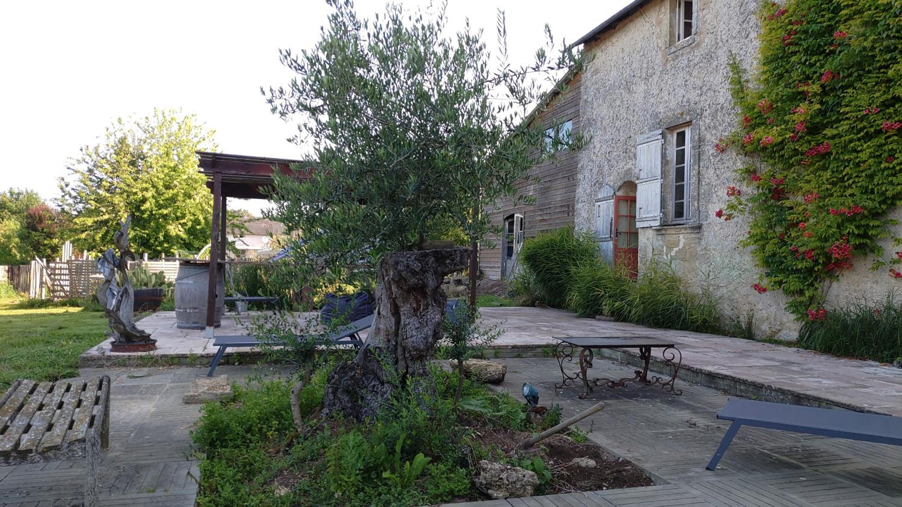 Photo 19