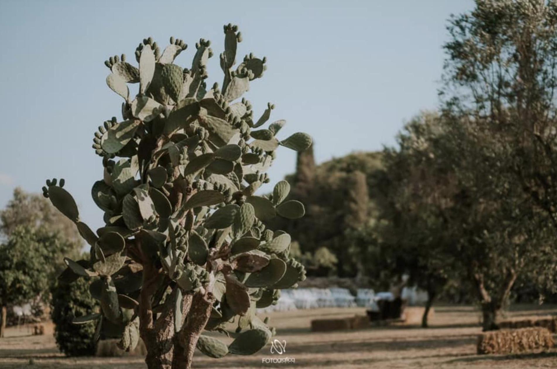 Casale Sombrino view 3