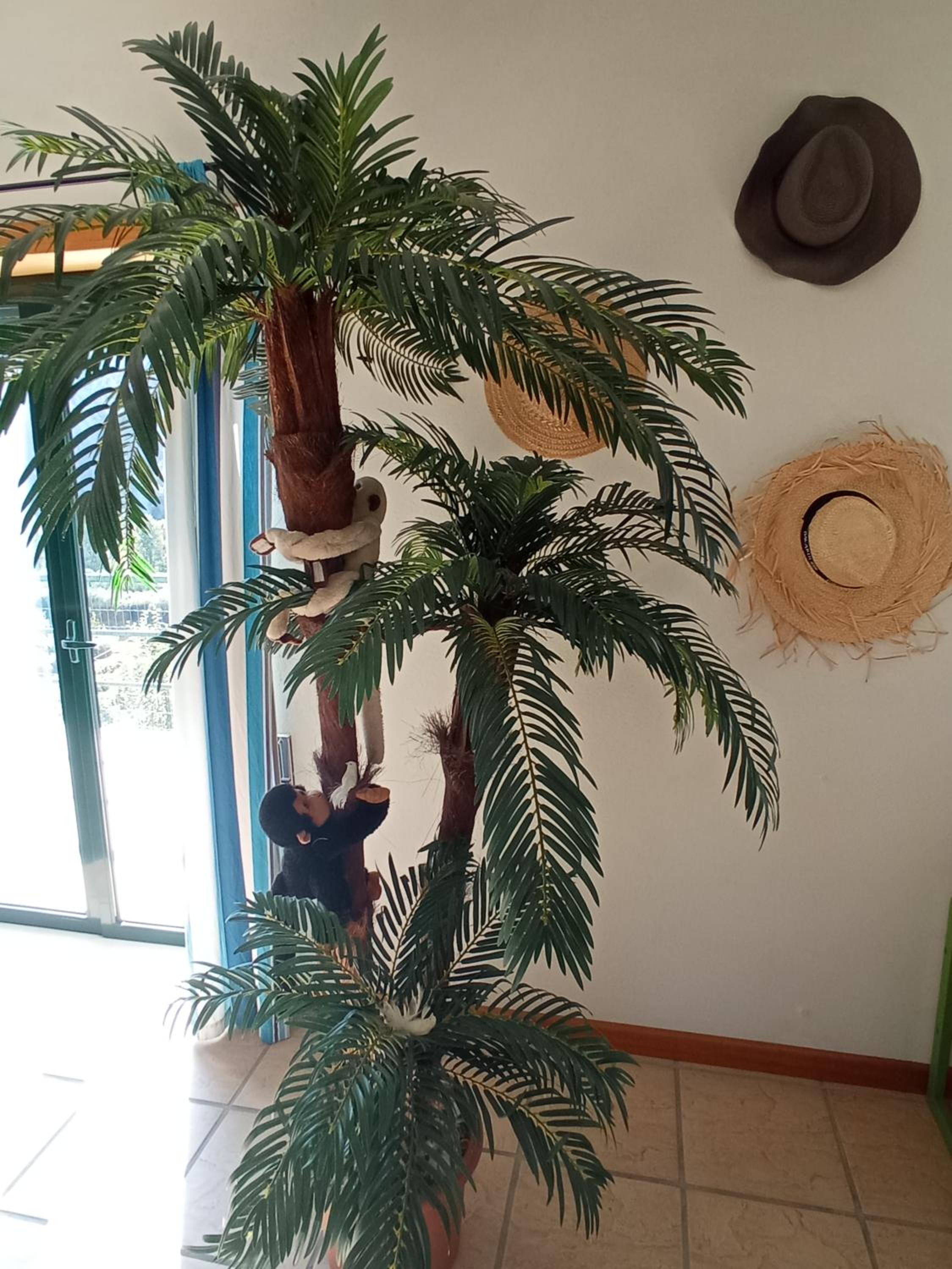 Photo 32