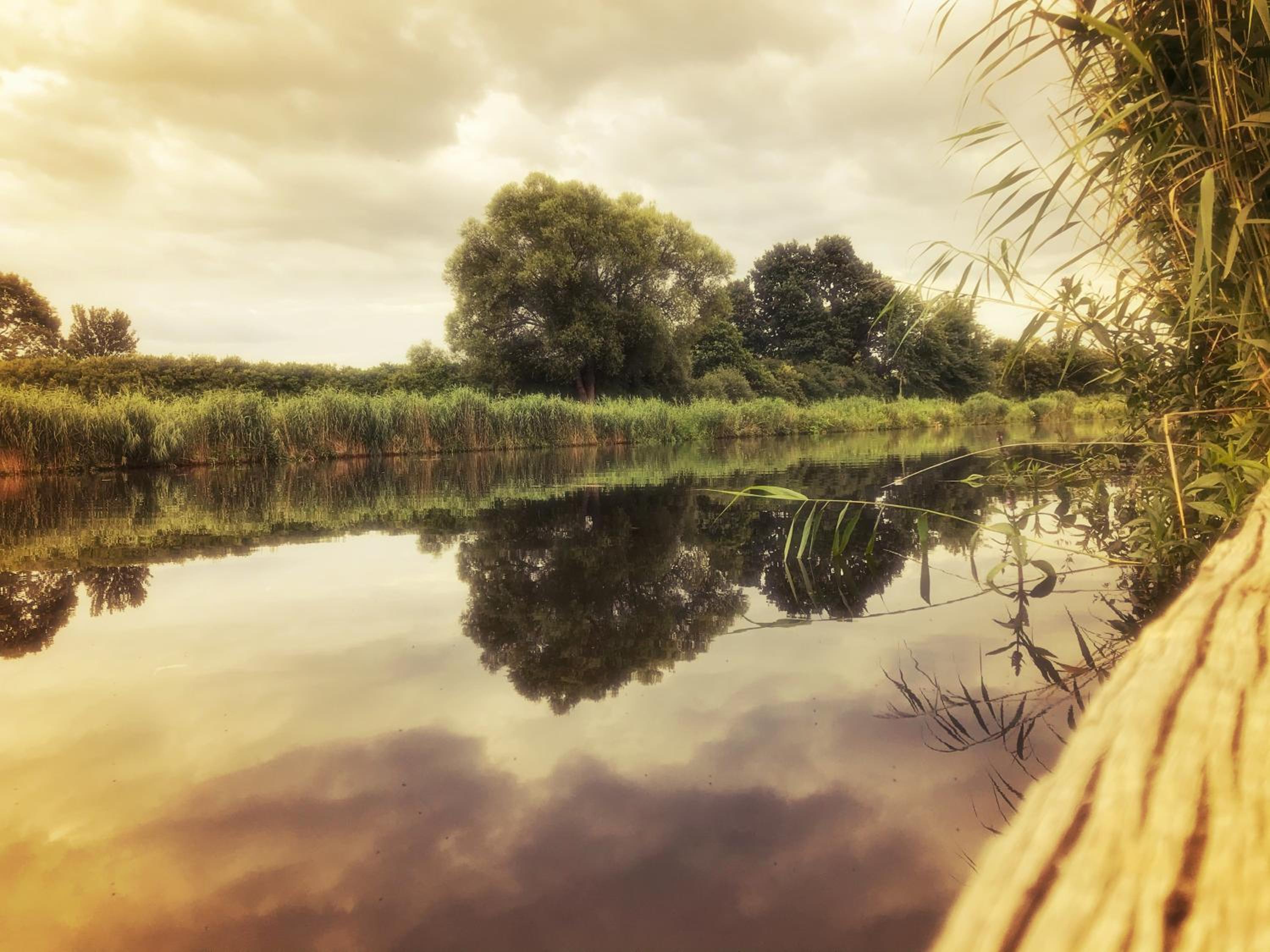 Auszeit am Moor view 4