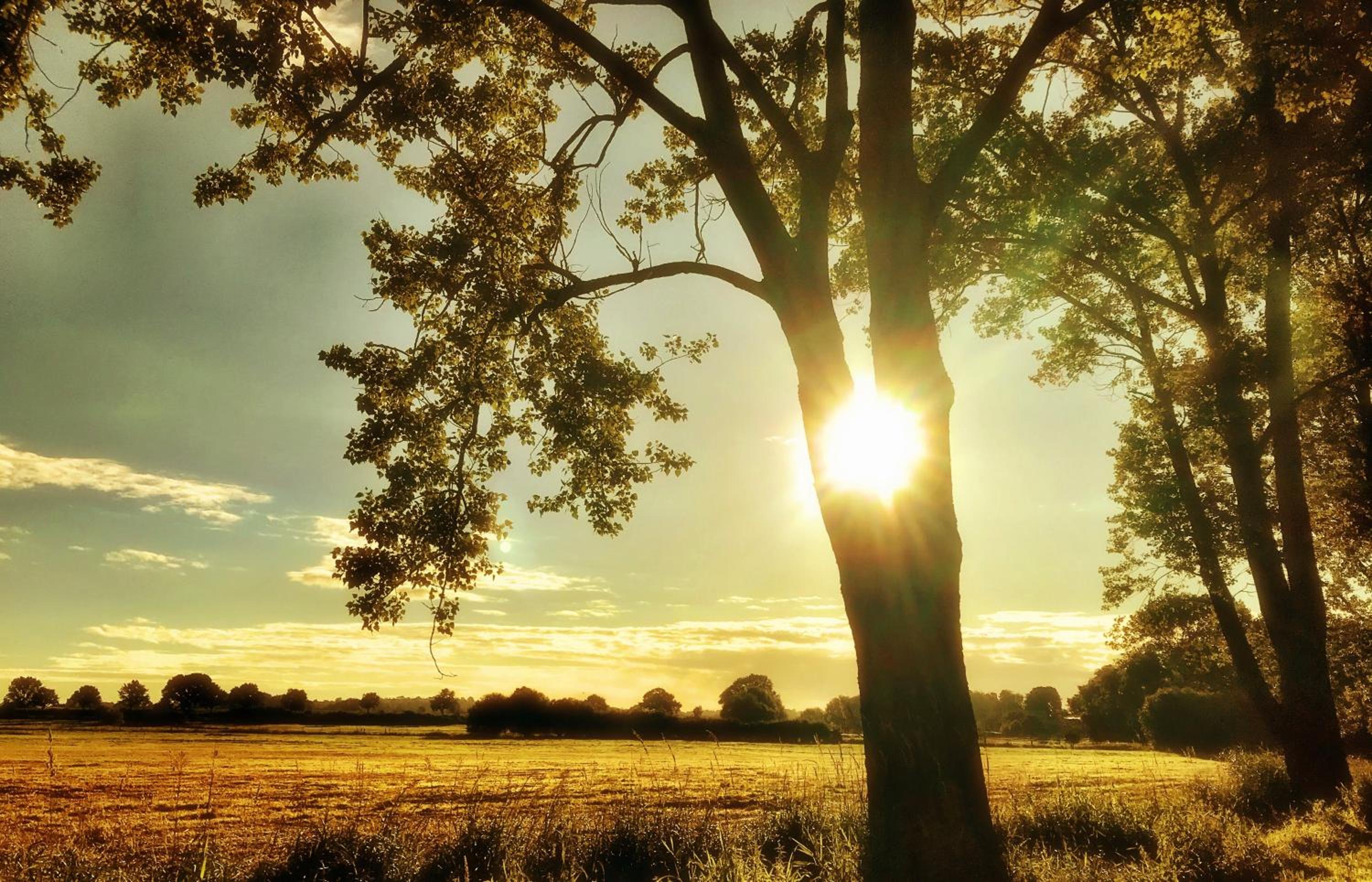 Auszeit am Moor view 5