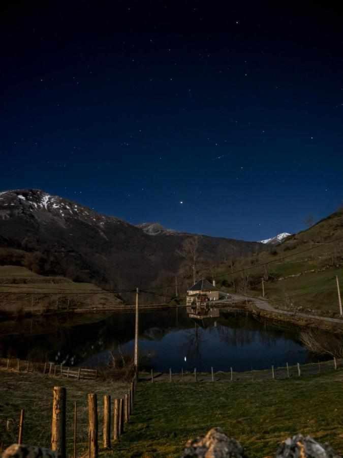 Photo 44