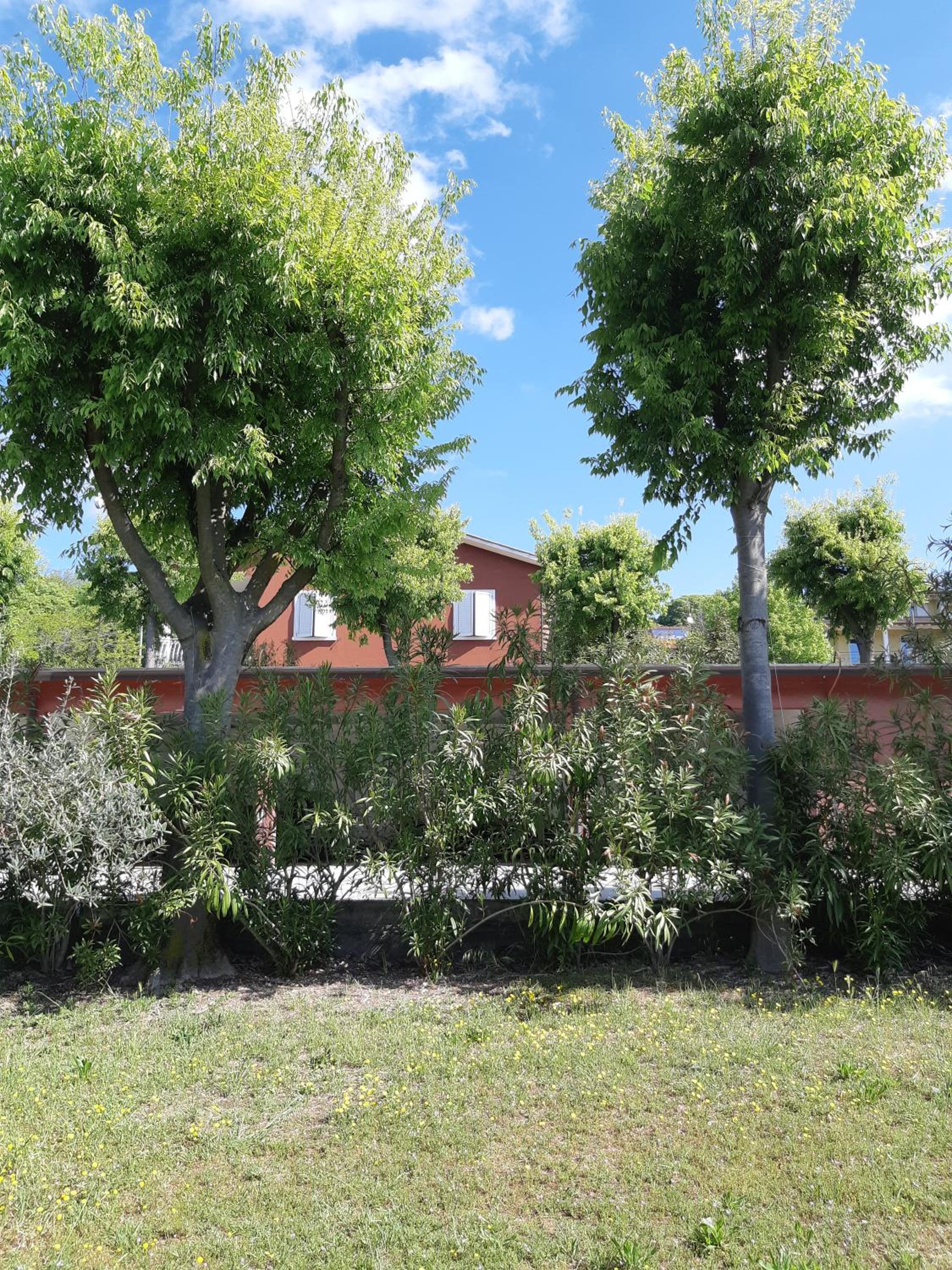 Pace, Luminosità e Comodità a due passi dal Garda view 2