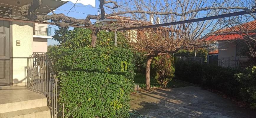 Nikos Holidays House