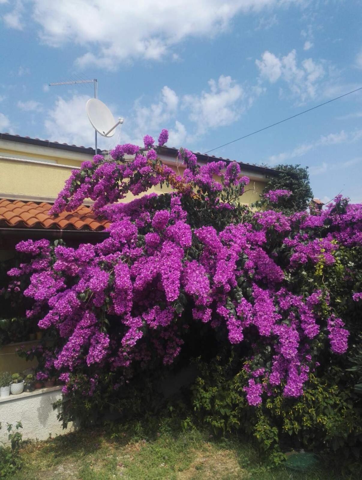 Apartment Samanta view 4