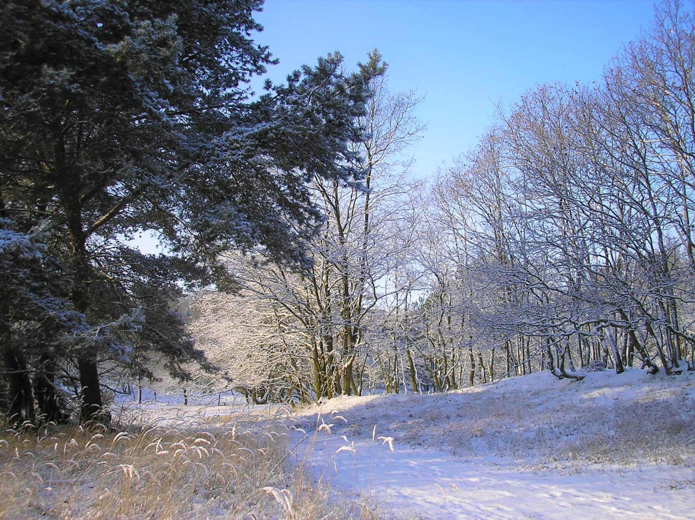 Photo 49