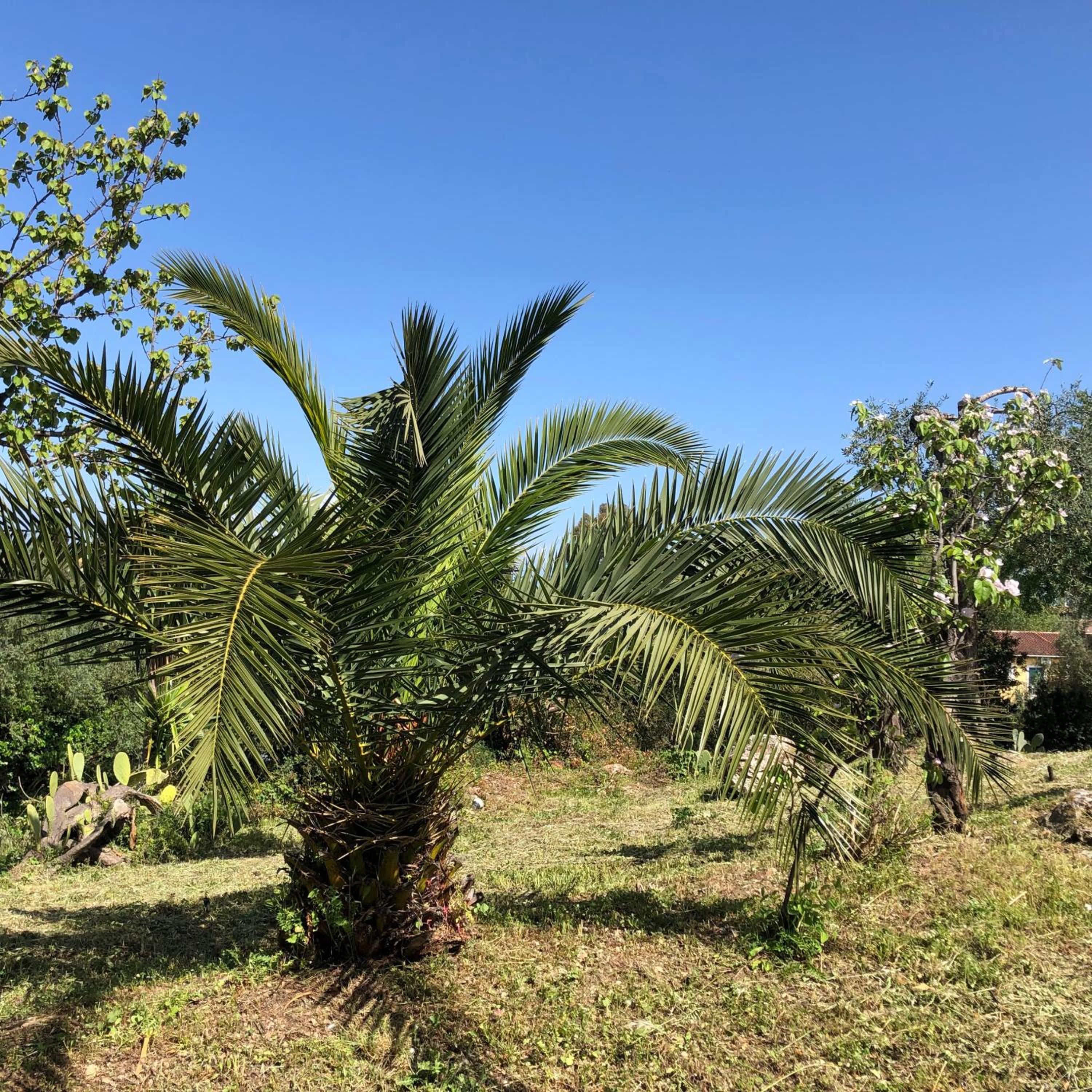 Photo 19