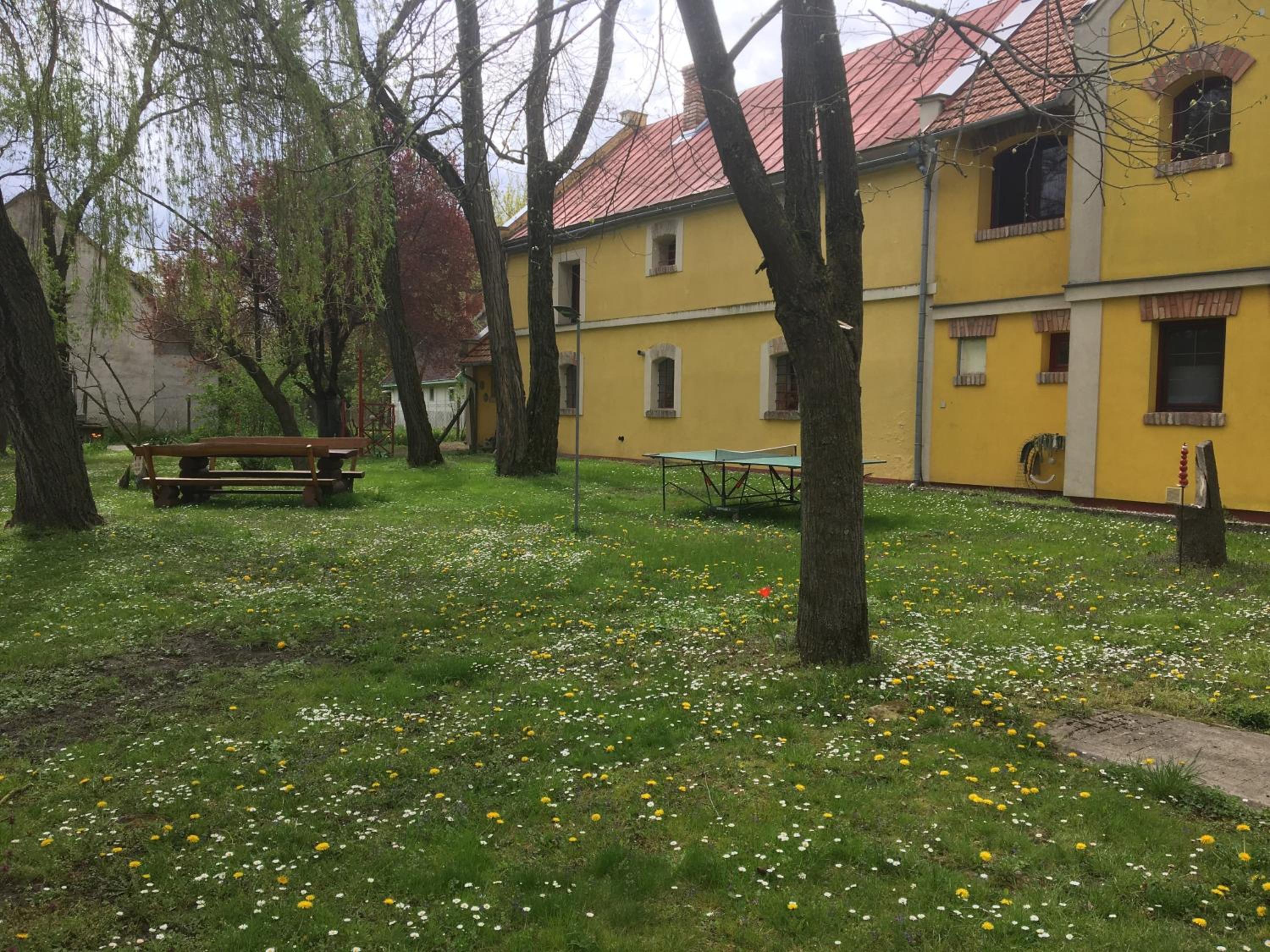 Photo 17