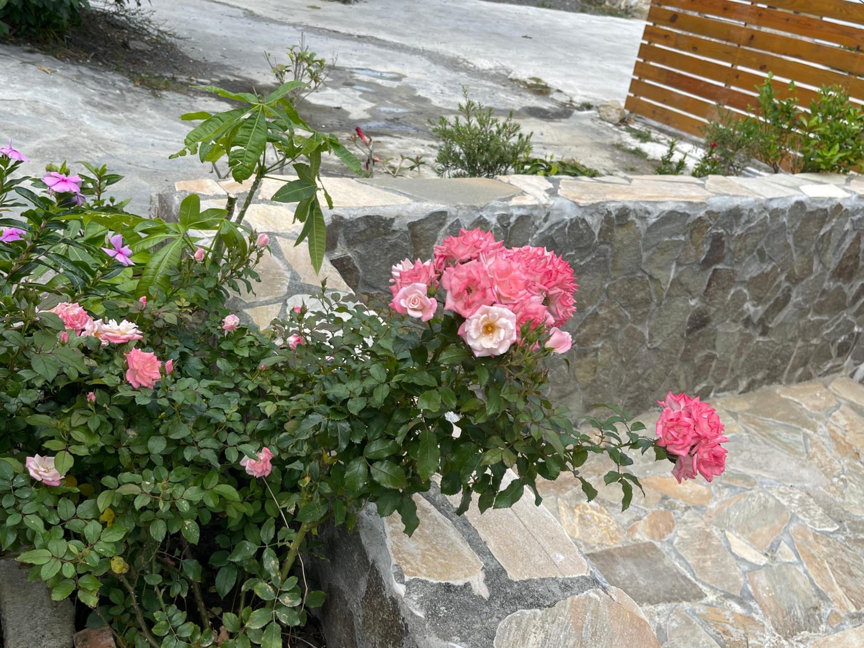 Photo 33