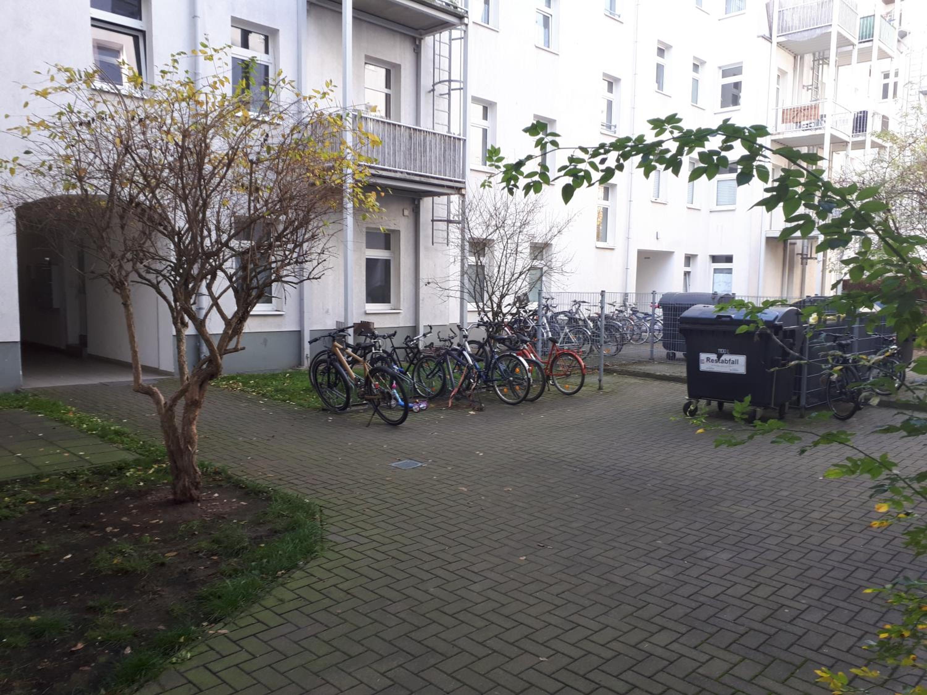 Photo 15