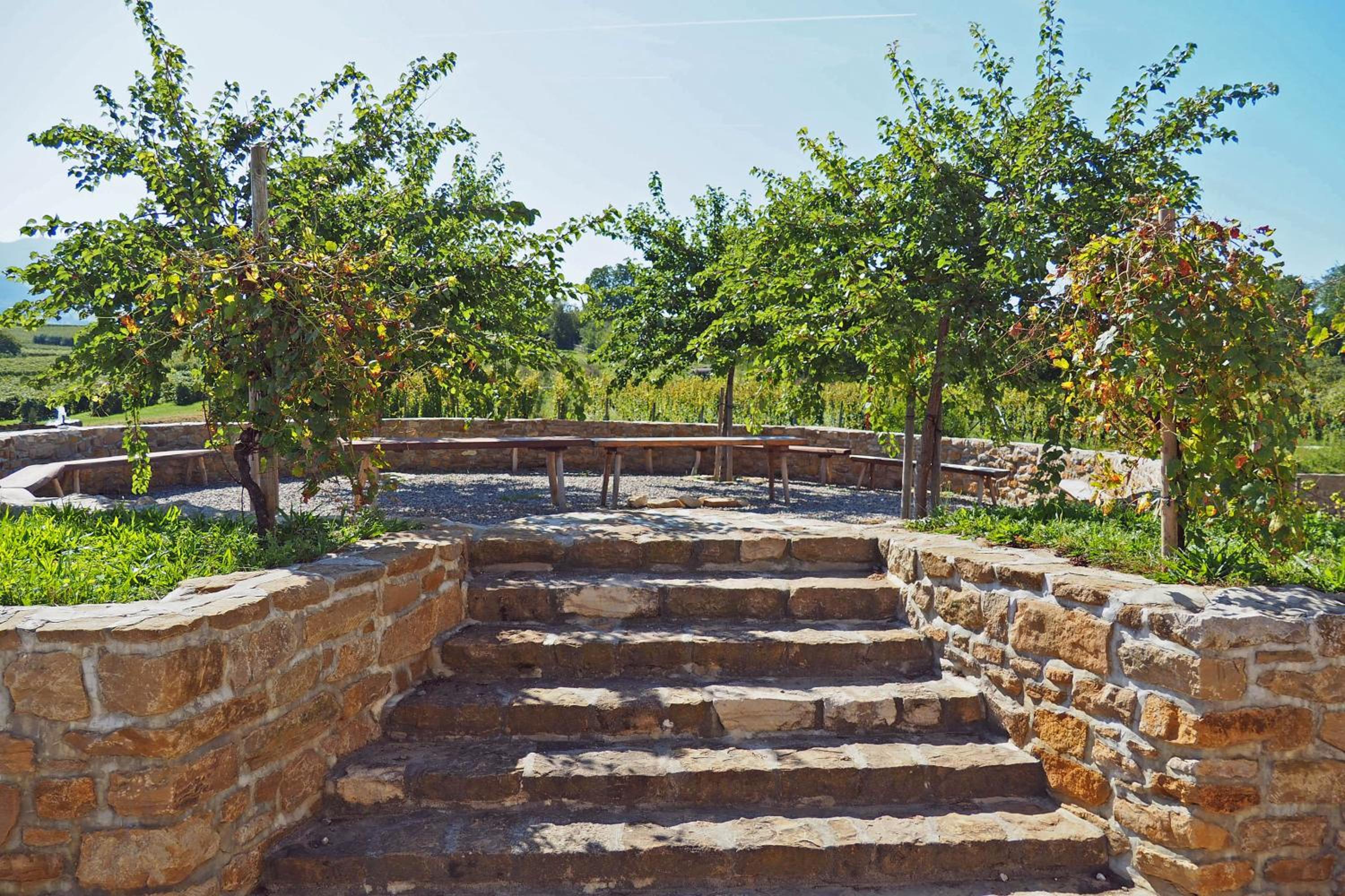 Privatweingut Schmidt view 2