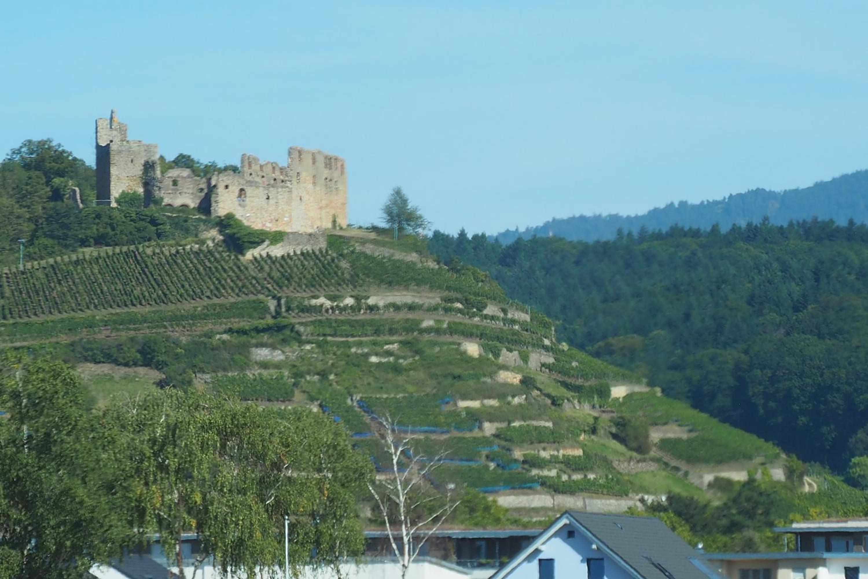 Privatweingut Schmidt view 3